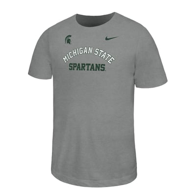  Michigan State Spartans Nike Youth Legend Dri-FIT T-Shirt - Gray