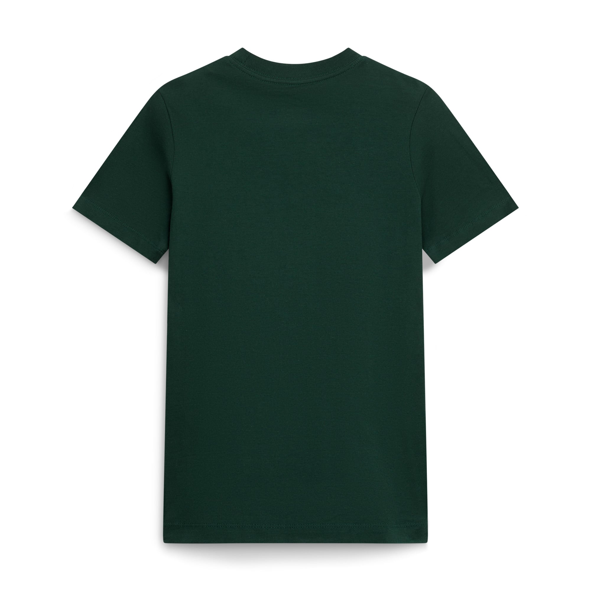 Youth Nike Green Michigan State Spartans Logo T-Shirt