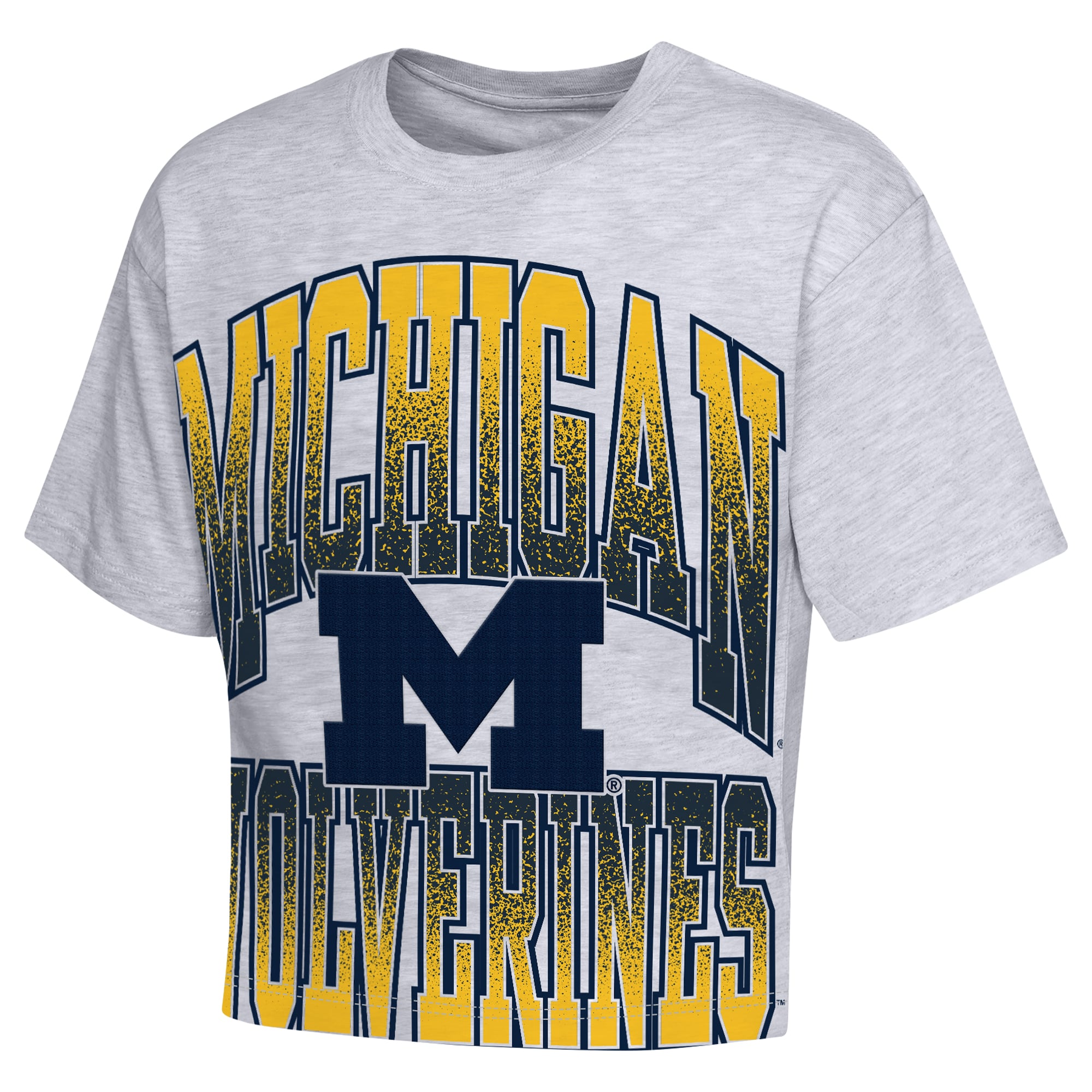 Girls Youth Outerstuff Heather Gray Michigan Wolverines Big Team Energy Cropped Boxy T-Shirt