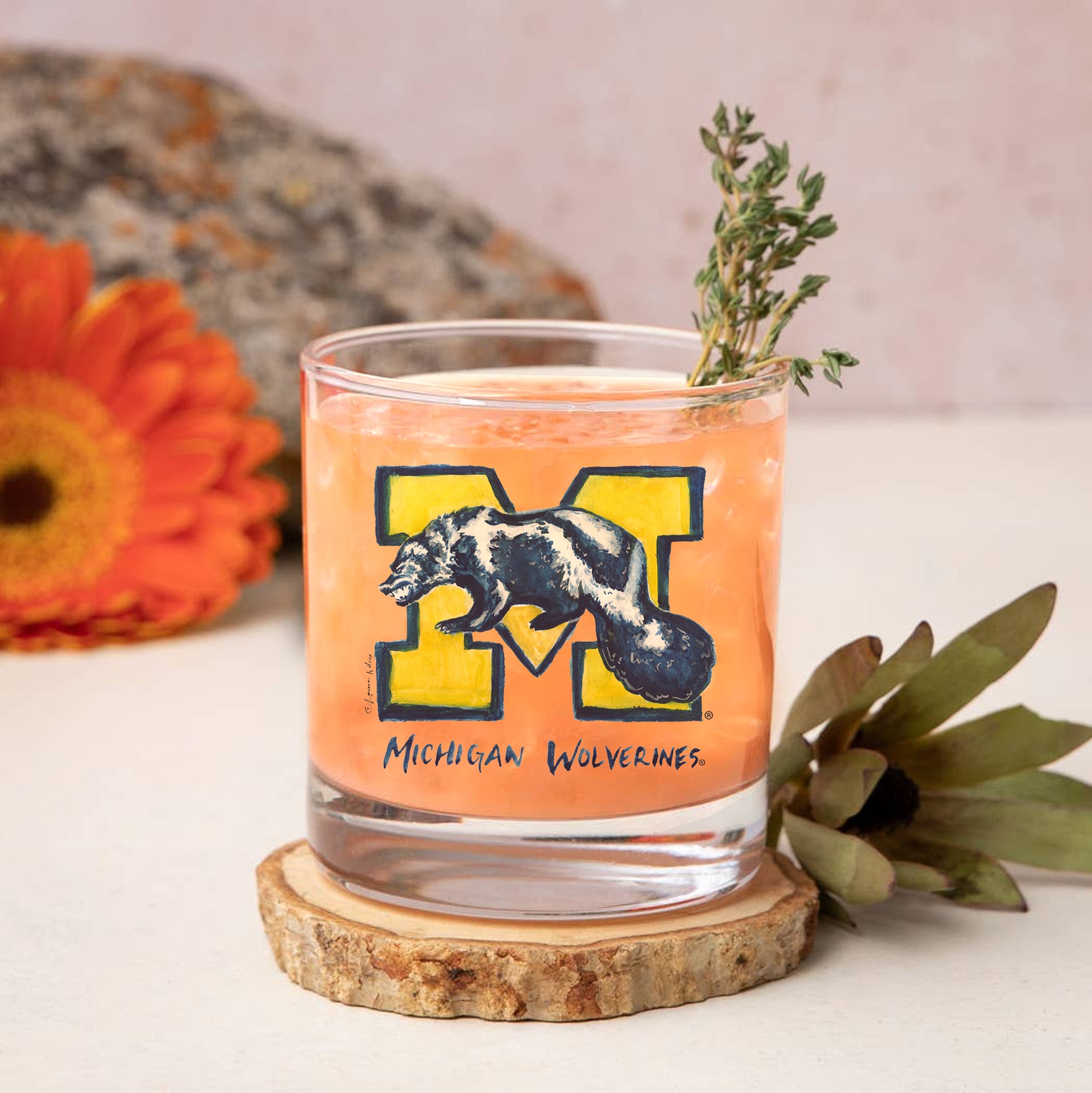 Indigo Falls  Michigan Wolverines Laura Wilcox Mascot Rocks Glass Set of 2