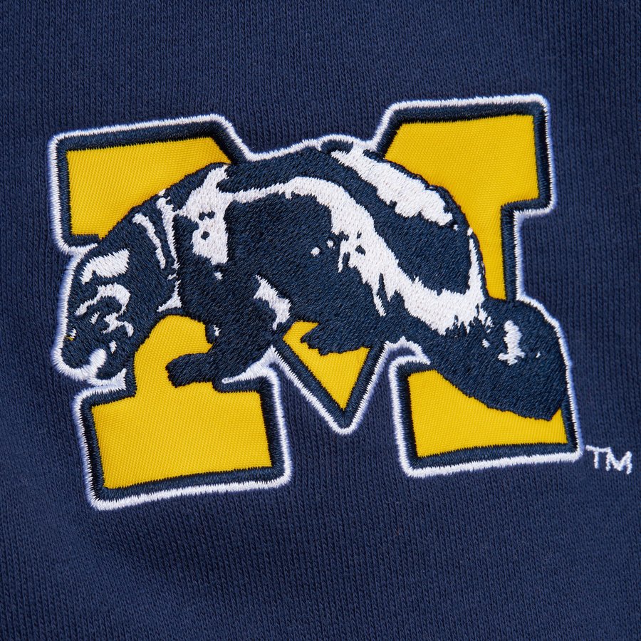 Michigan Old Logo