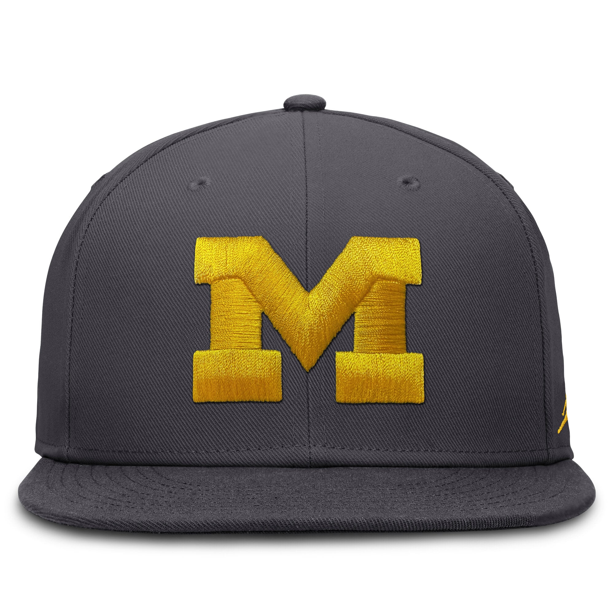Men's Jordan Brand Anthracite Michigan Wolverines Pro Dri-FIT Fitted Hat