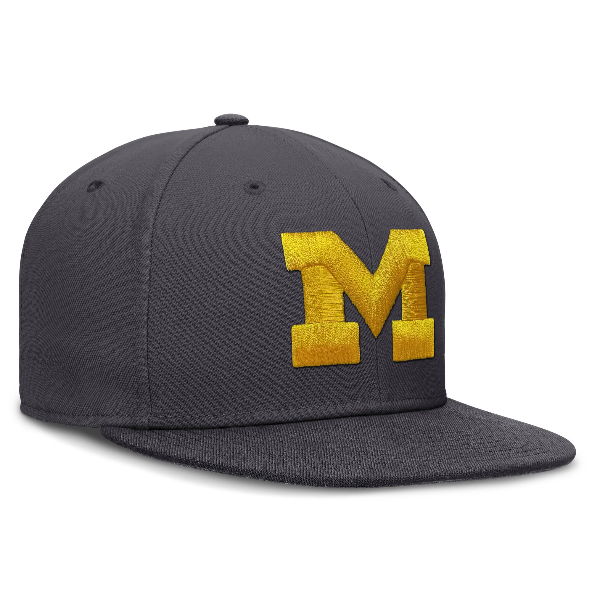 Men's Jordan Brand Anthracite Michigan Wolverines Pro Dri-FIT Fitted Hat