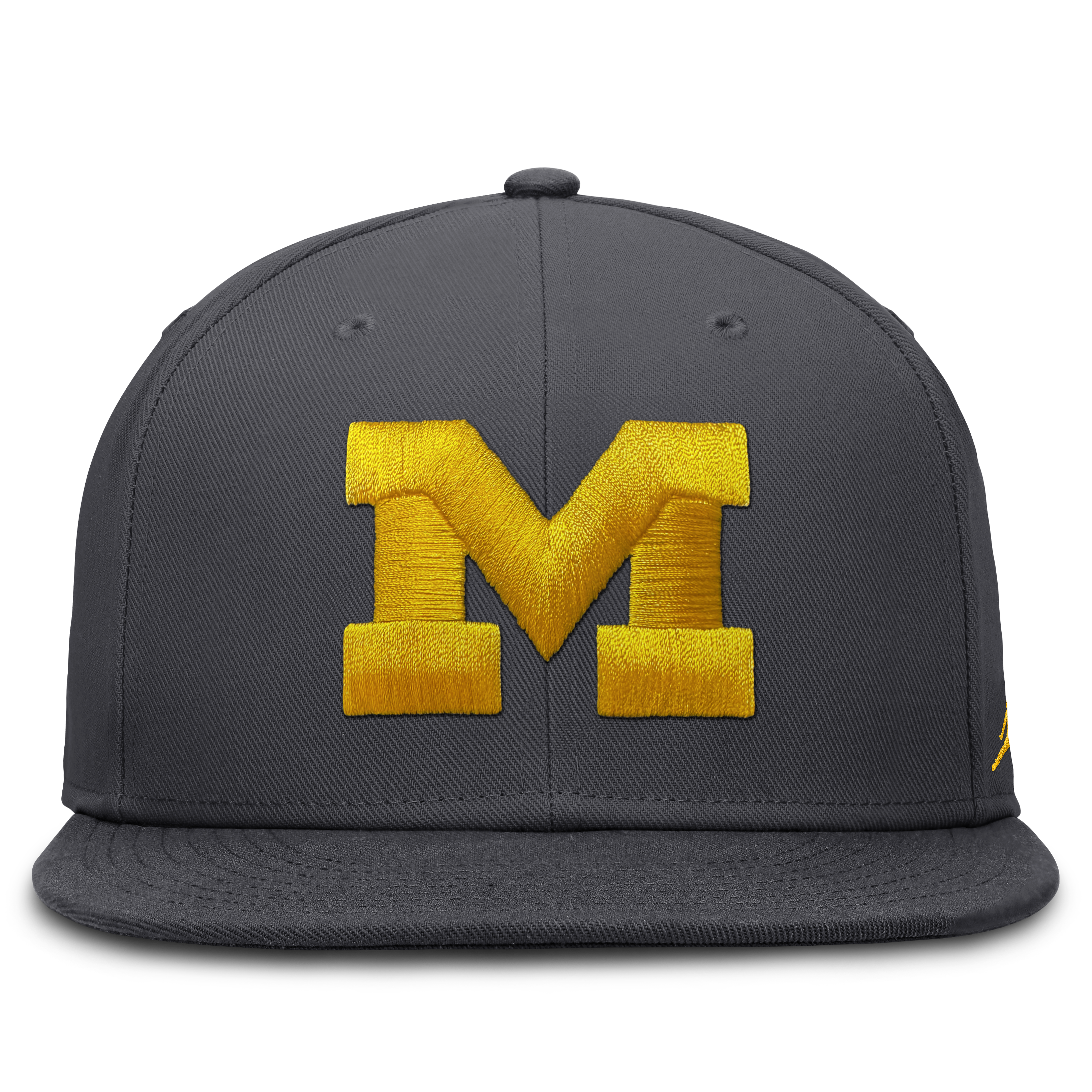 Men's Jordan Brand Anthracite Michigan Wolverines Pro Dri-FIT Fitted Hat