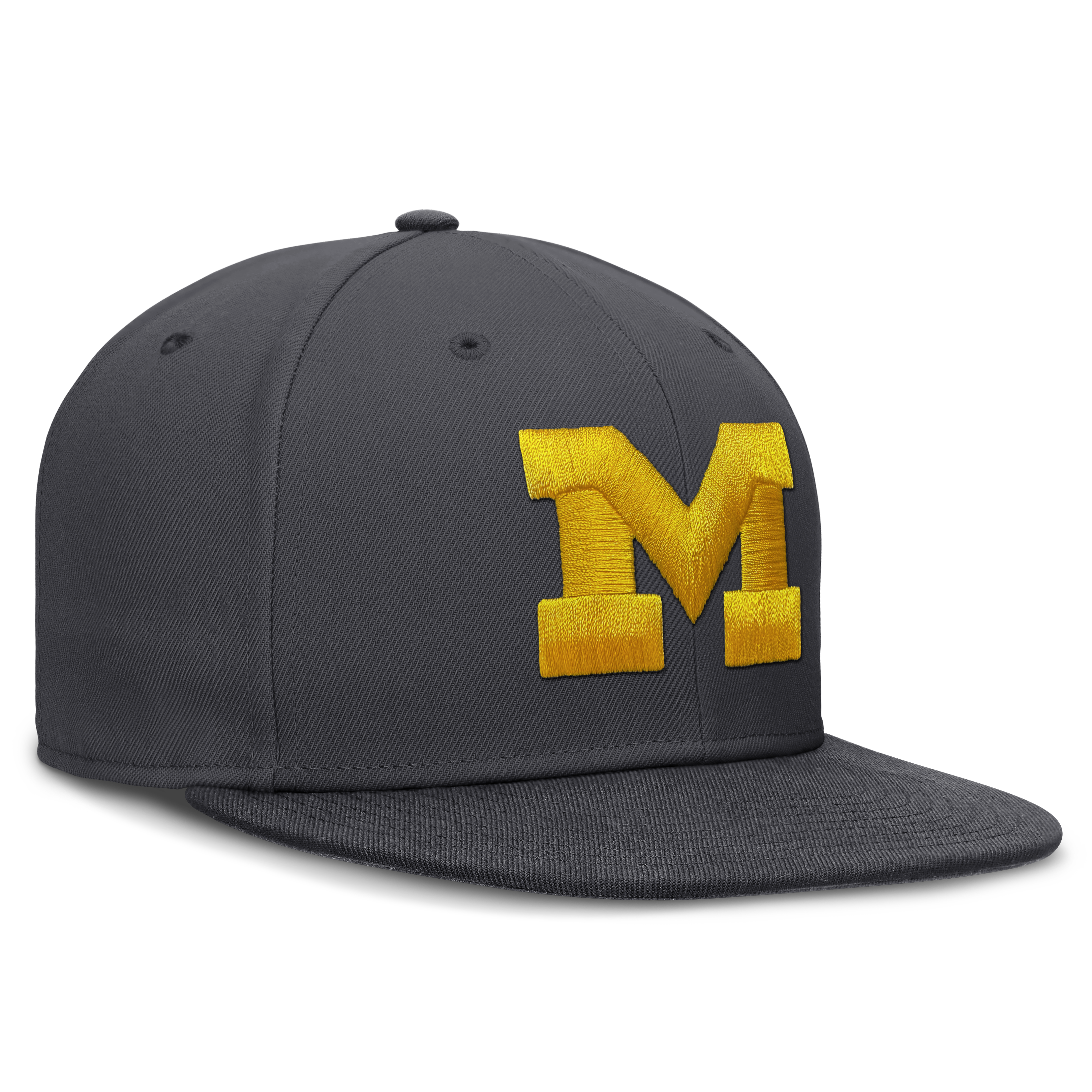 Men's Jordan Brand Anthracite Michigan Wolverines Pro Dri-FIT Fitted Hat
