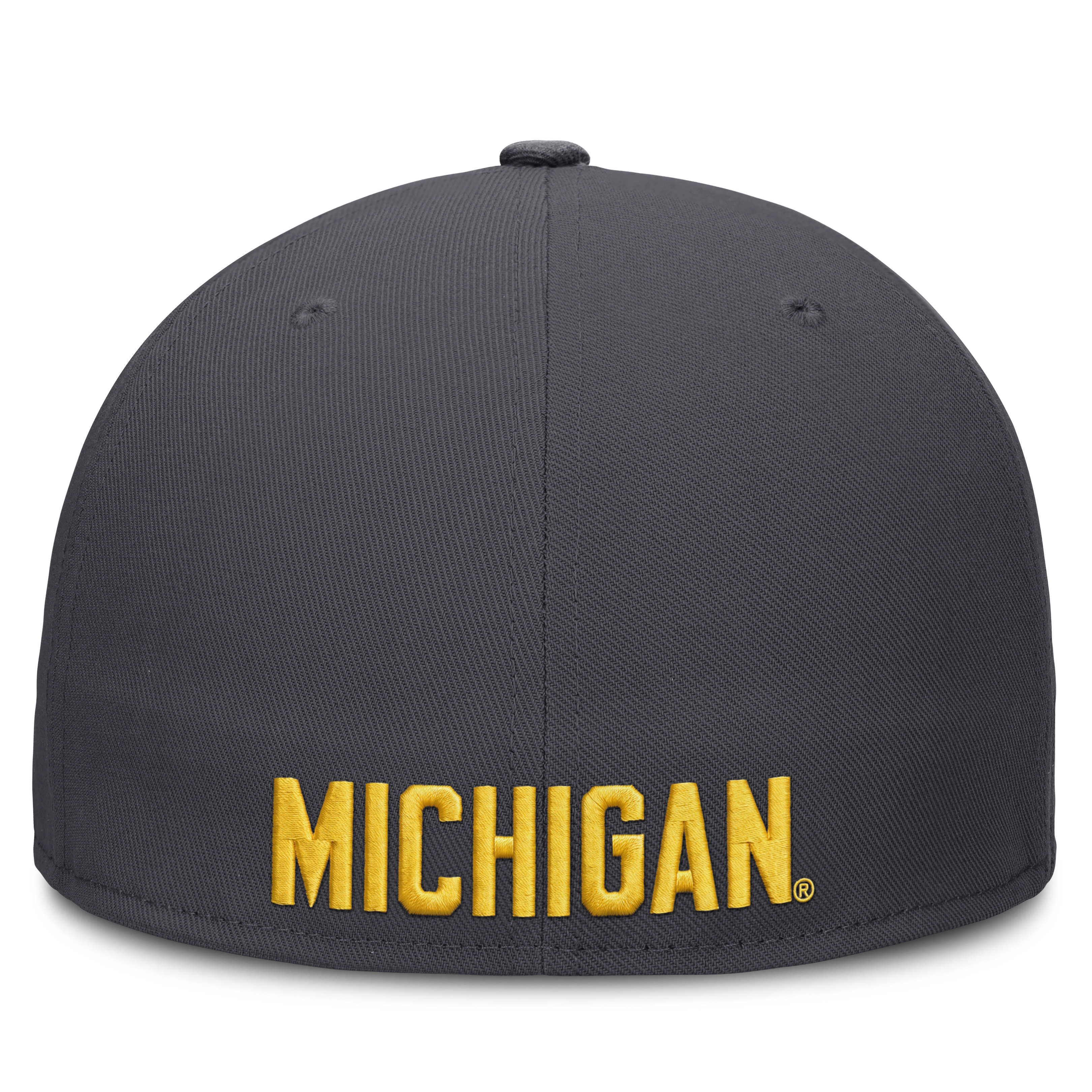 Men's Jordan Brand Anthracite Michigan Wolverines Pro Dri-FIT Fitted Hat