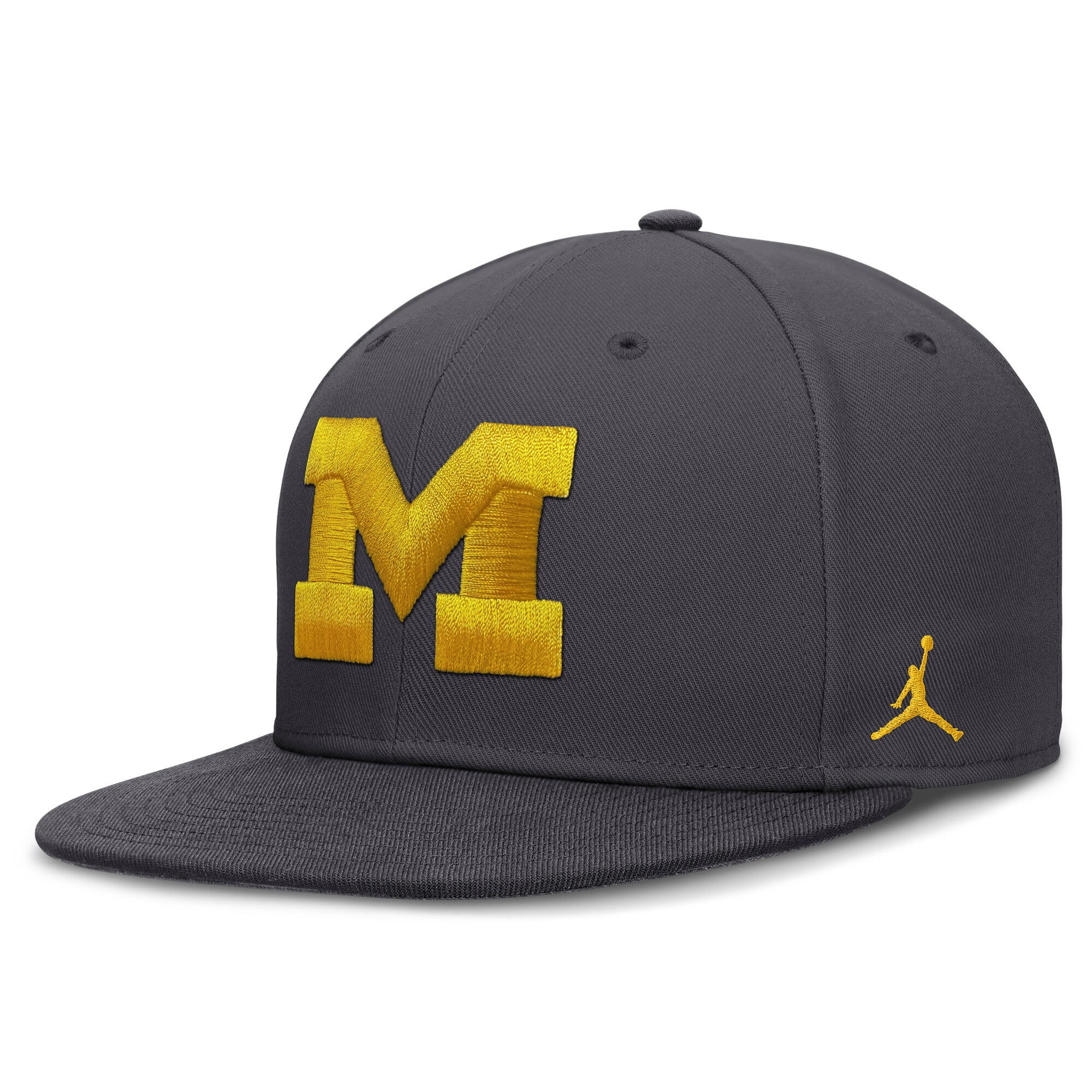 Men's Jordan Brand Anthracite Michigan Wolverines Pro Dri-FIT Fitted Hat