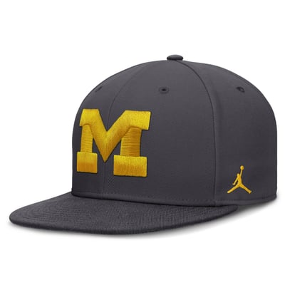 Michigan Wolverines Jordan Brand Pro Dri-FIT Fitted Hat - Anthracite