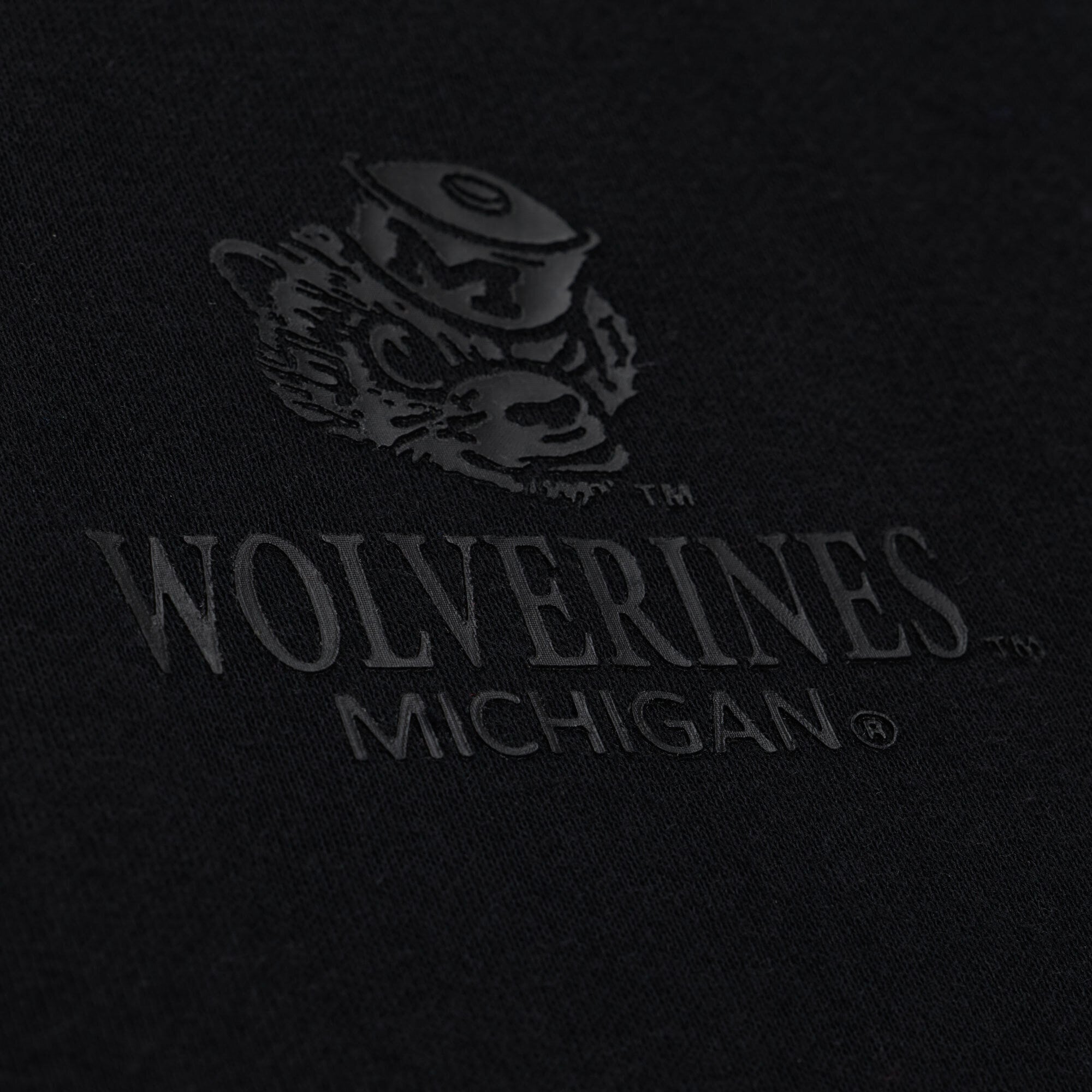 Men's Mitchell & Ness  Black Michigan Wolverines Monochrome Icon Fleece Hoodie