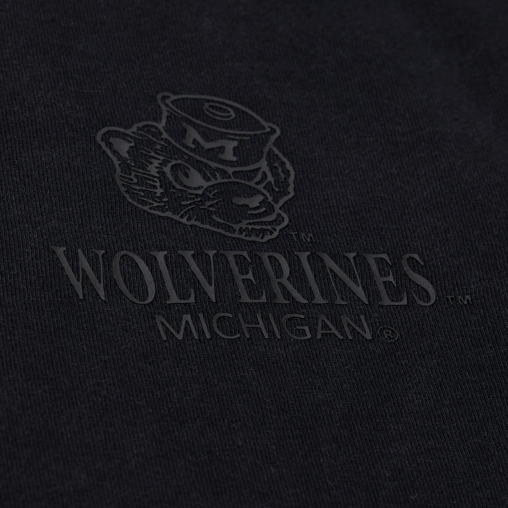 Men's Mitchell & Ness  Black Michigan Wolverines Monochrome Icon T-Shirt