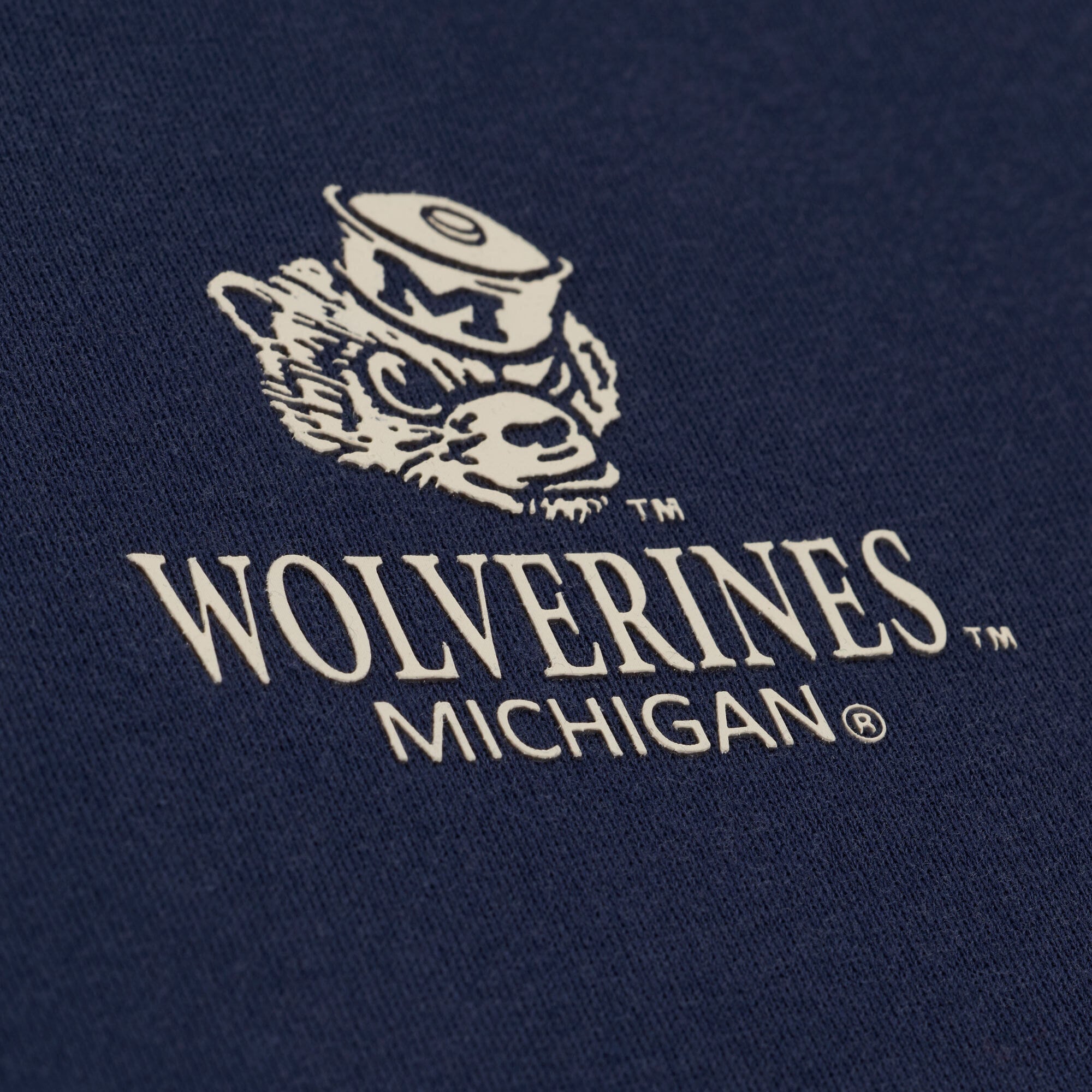 Men's Mitchell & Ness Navy Michigan Wolverines Core Icon Fleece Hoodie