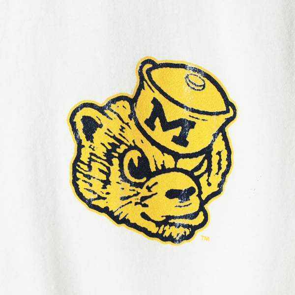 Sw Michigan First Logo Michigan Old Logo