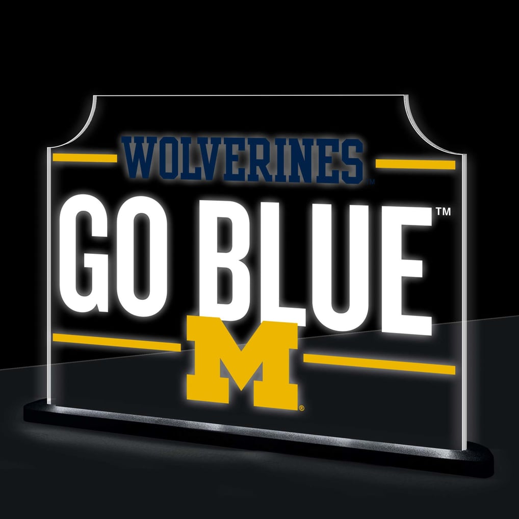 Michigan Wolverines 10