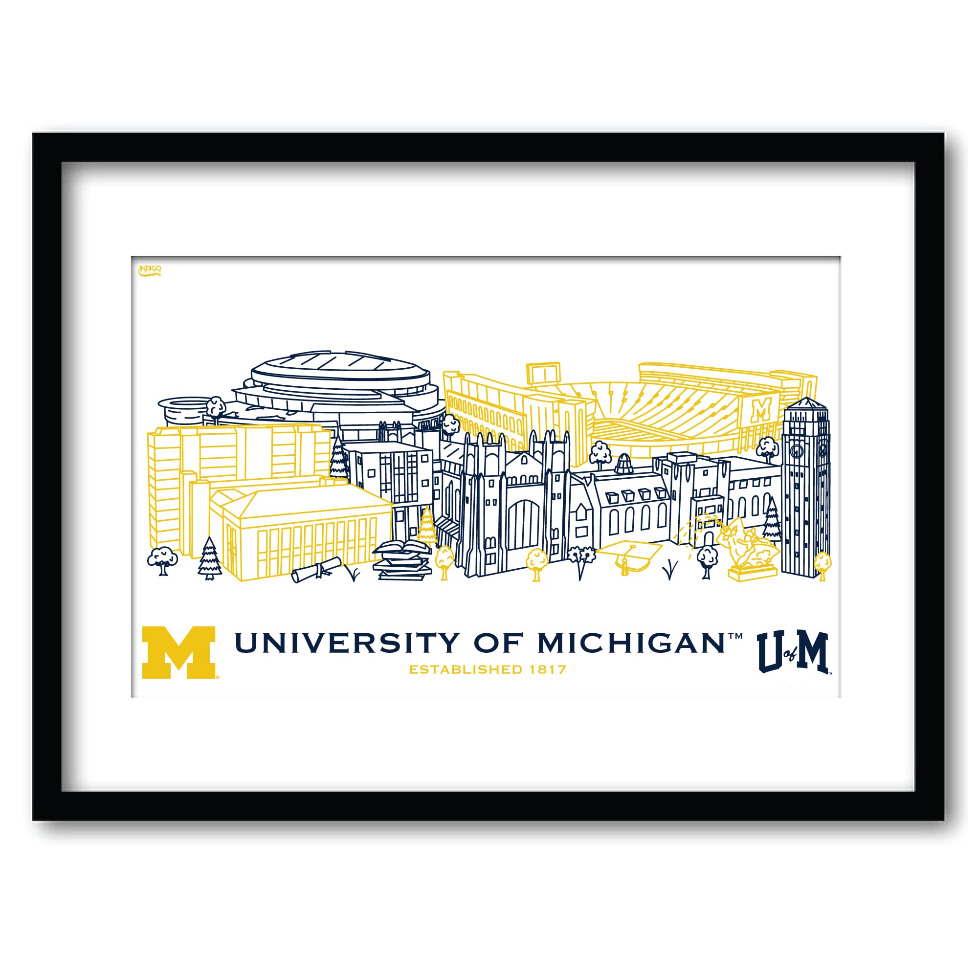 Michigan Wolverines 11