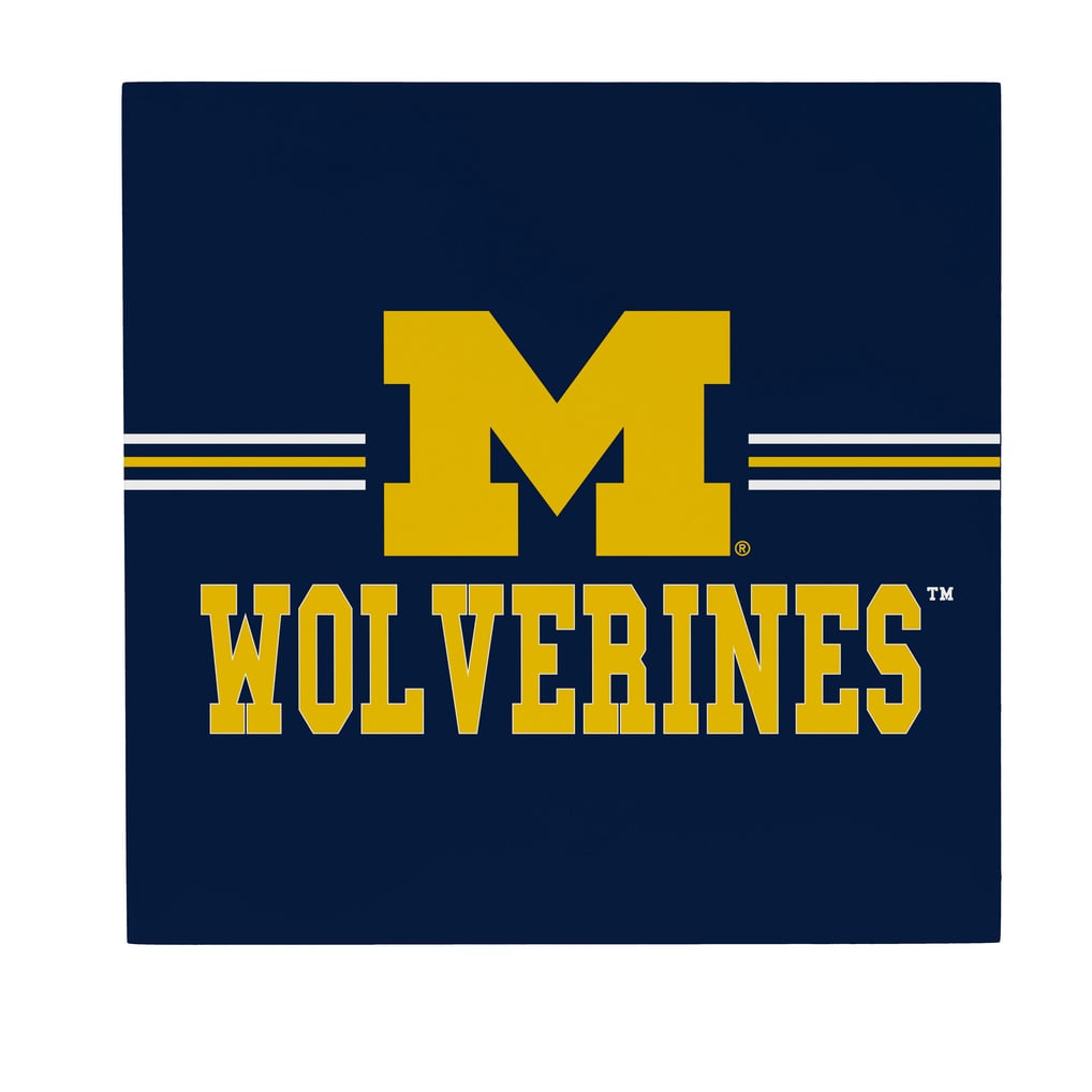 Michigan Wolverines 12