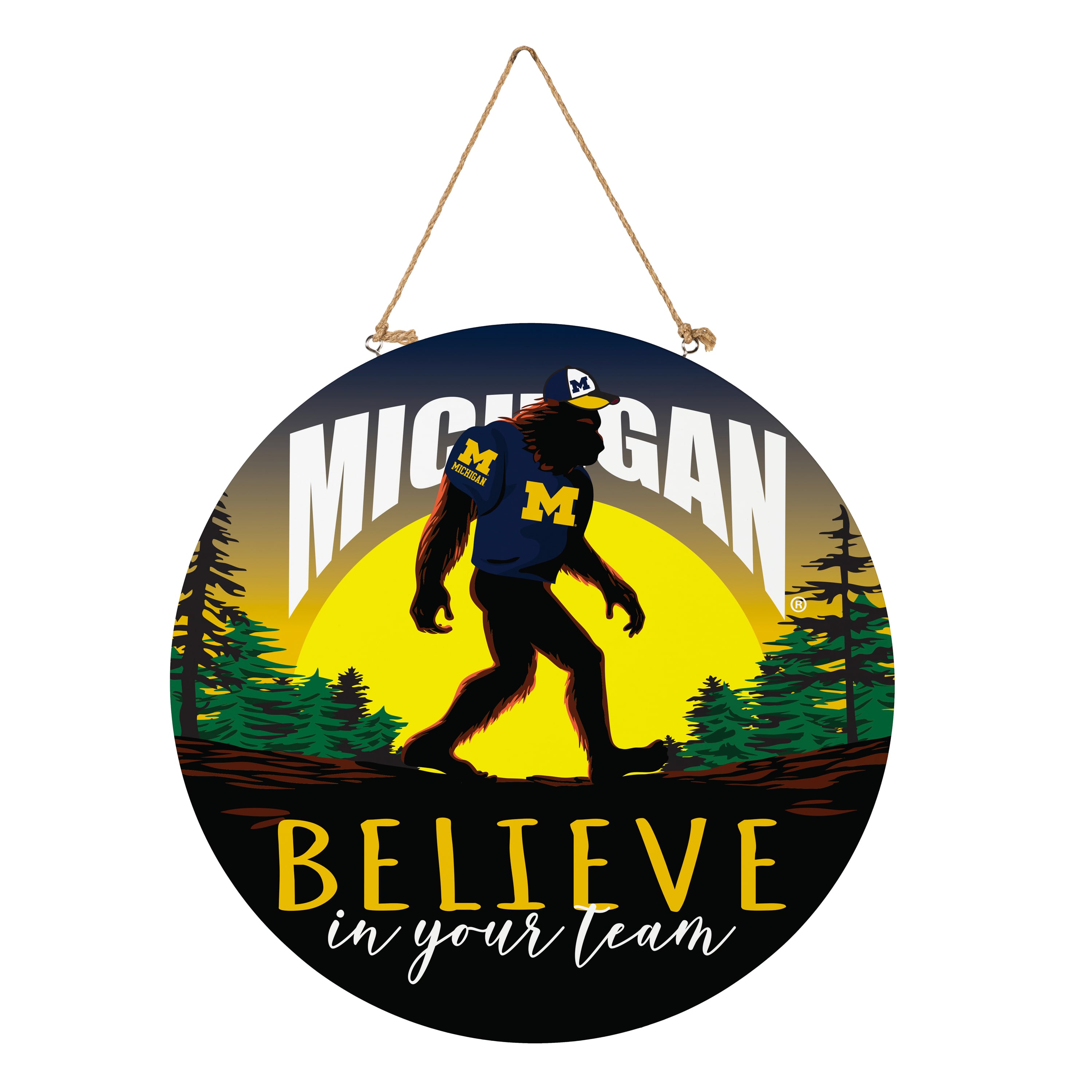 Michigan Wolverines 18