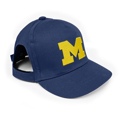 Michigan Wolverines Adjustable Pet Hat