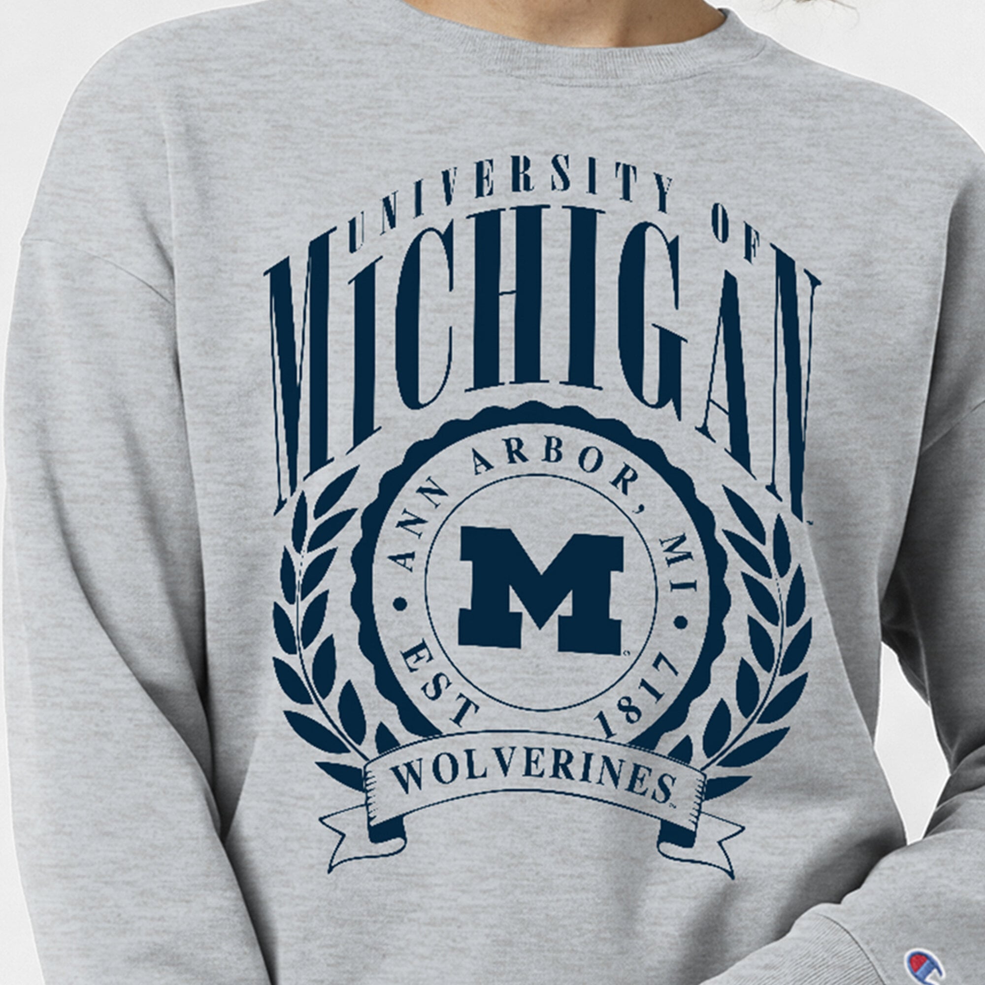 Women's Champion  Heather Gray Michigan Wolverines Academic Crest Powerblend Crewneck Sweatshirt