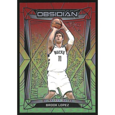 2023-24 Panini Obsidian Electric Etch Reggae Flood #14 Brook Lopez