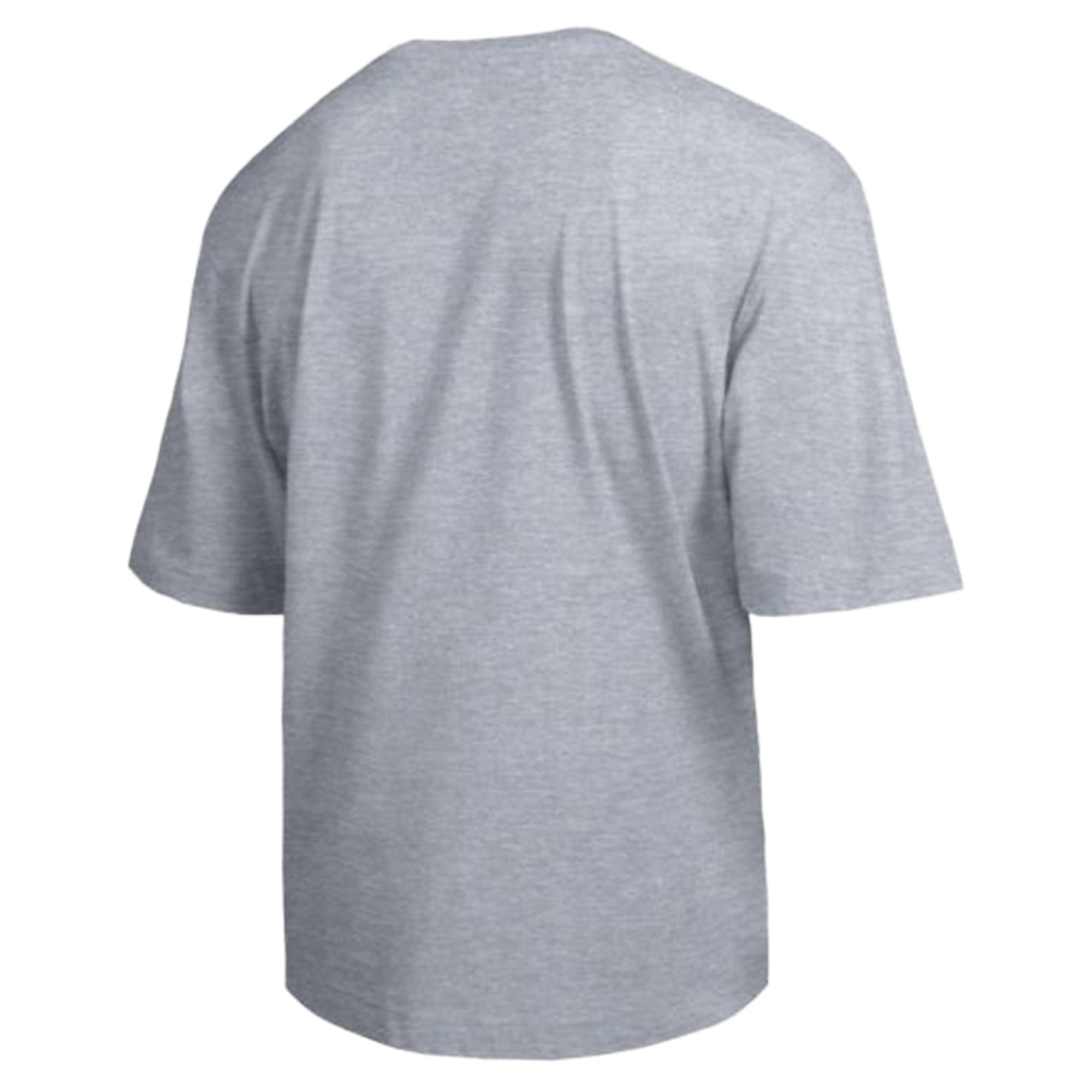 Men's Champion Heather Gray Minnesota Golden Gophers Scholar All-Star T-Shirt