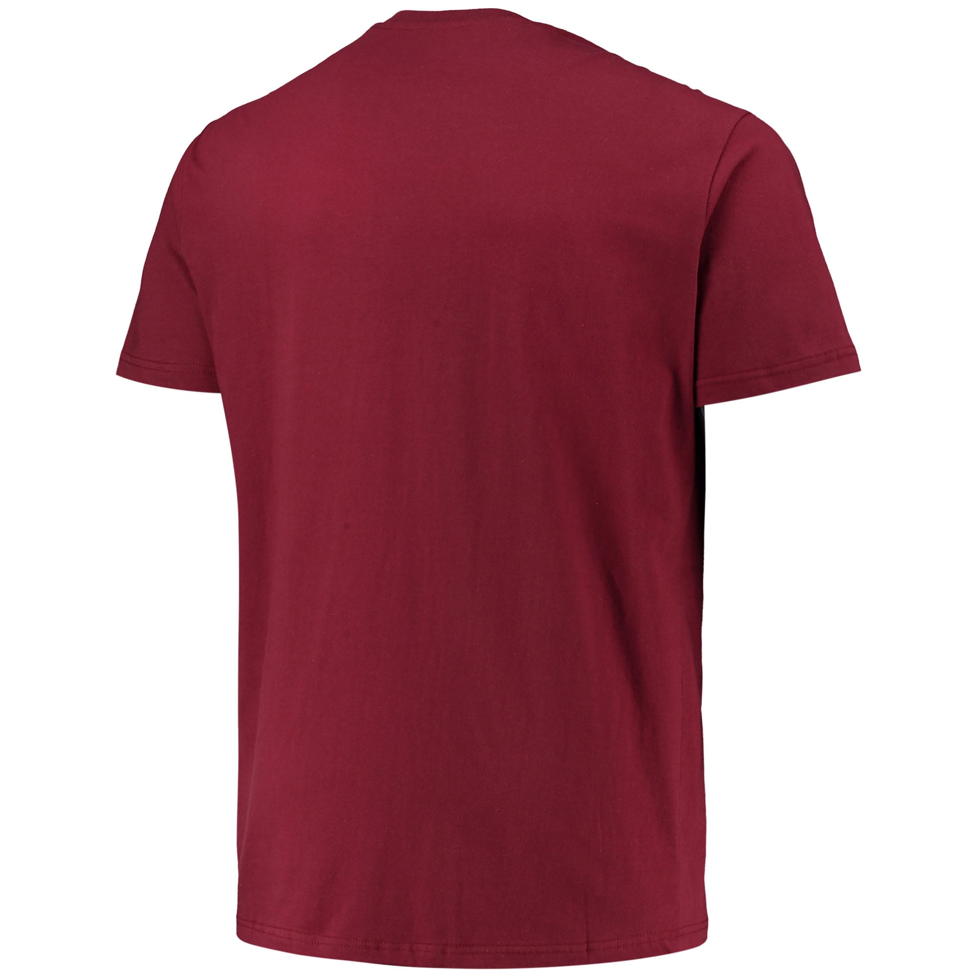Men's Champion Maroon Minnesota Golden Gophers Big & Tall Arch Over Wordmark T-Shirt