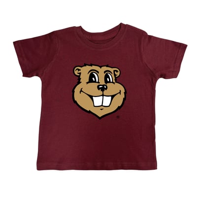 Minnesota Golden Gophers Toddler Big Logo T-Shirt - Maroon