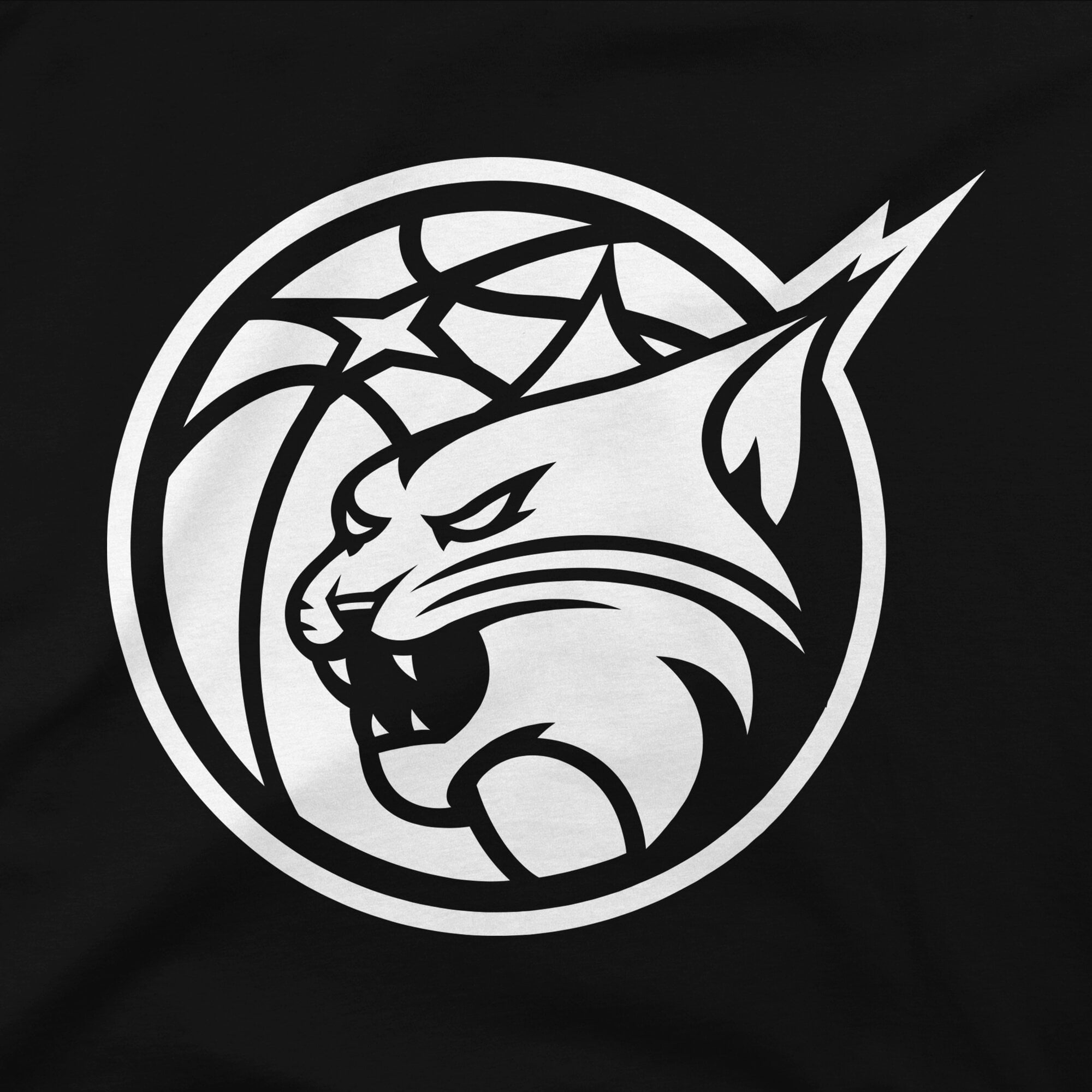 Unisex Stadium Essentials Black Minnesota Lynx Origins White Logo T-Shirt