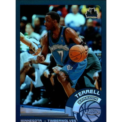 2002-03 Topps Chrome Refractors #34 Terrell Brandon