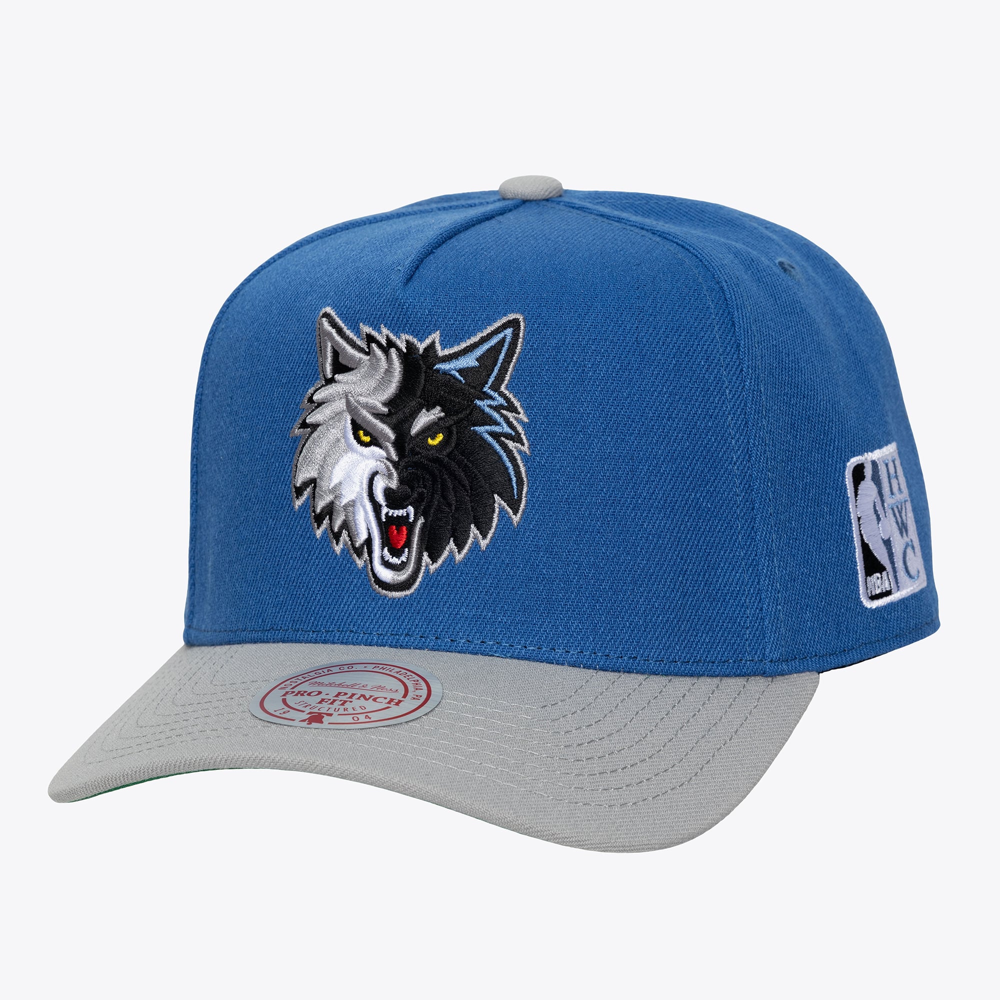Men's Minnesota Timberwolves Mitchell & Ness Blue Hardwood Classics Legendary Away Pro-Pinch Adjustable Hat