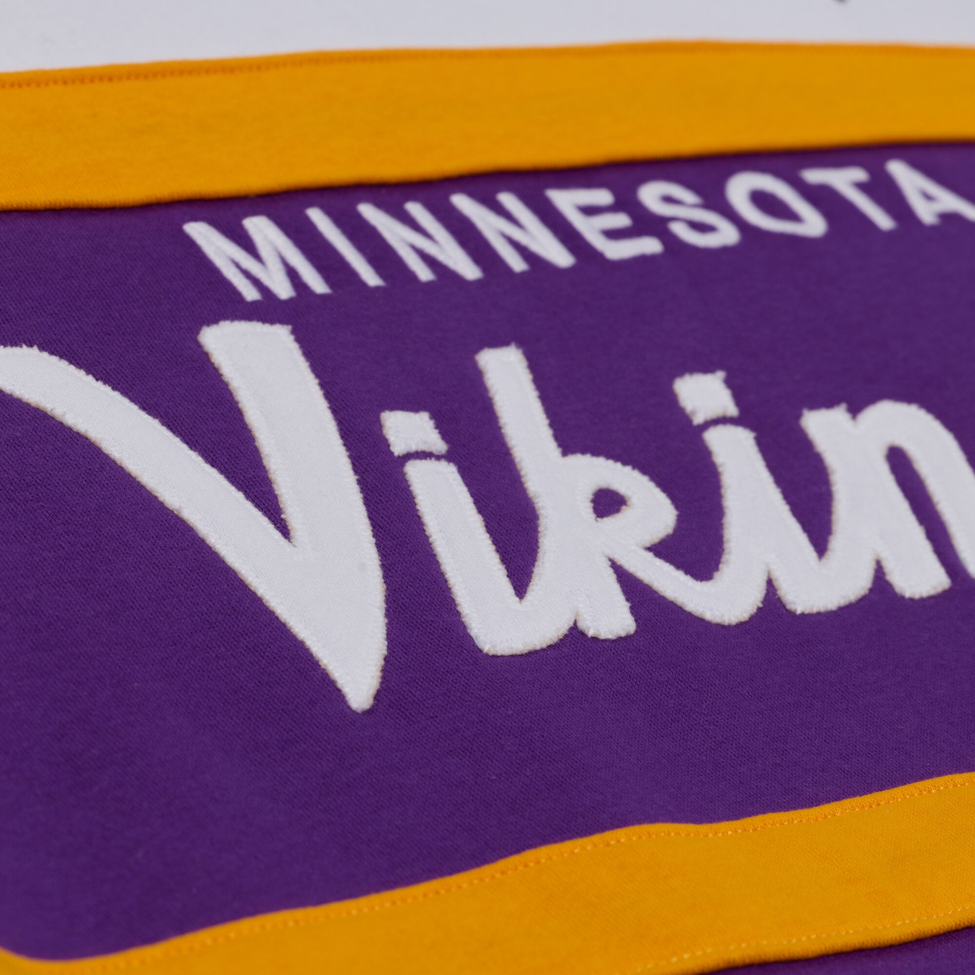 V100492 VIKE NFL Head Coach Hoody SWTMENHOD TH16321-MVIPURP #4