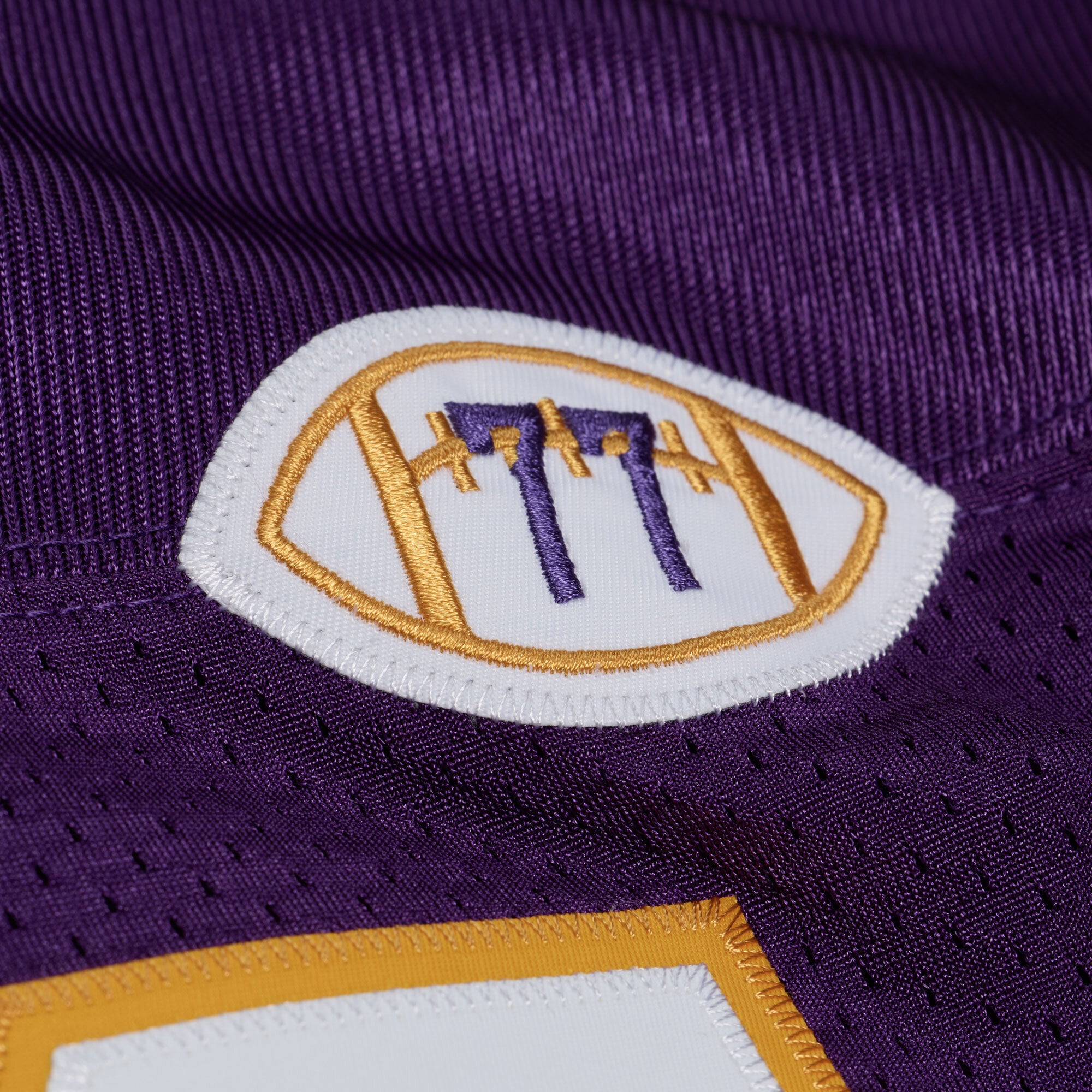 Men's Mitchell & Ness Randy Moss Purple Minnesota Vikings 2001 Authentic Throwback Jersey
