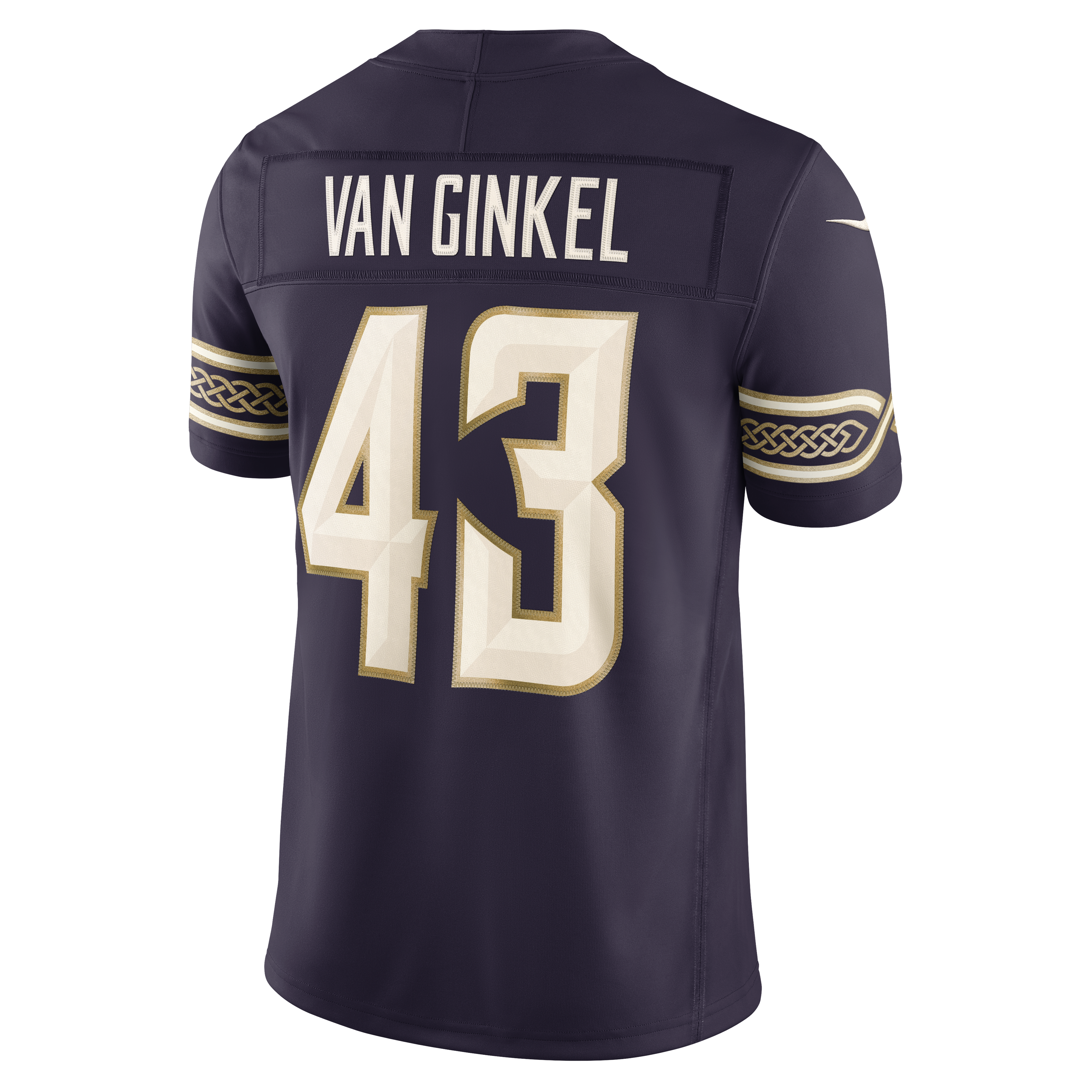 Men's Nike Andrew Van Ginkel Purple Minnesota Vikings 2026 Rivalries Collection Stitched Limited Jersey