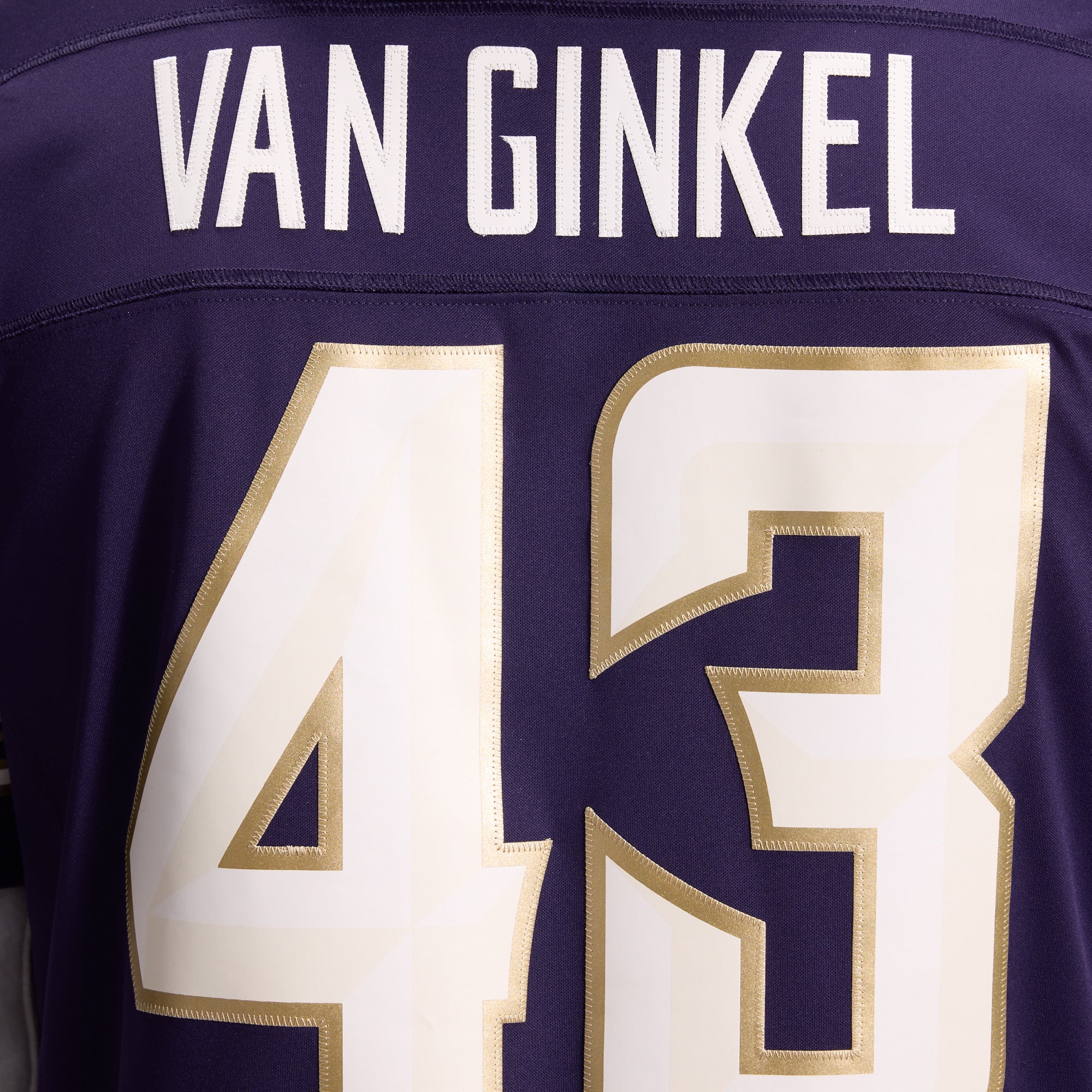 Men's Nike Andrew Van Ginkel Purple Minnesota Vikings 2026 Rivalries Collection Stitched Limited Jersey