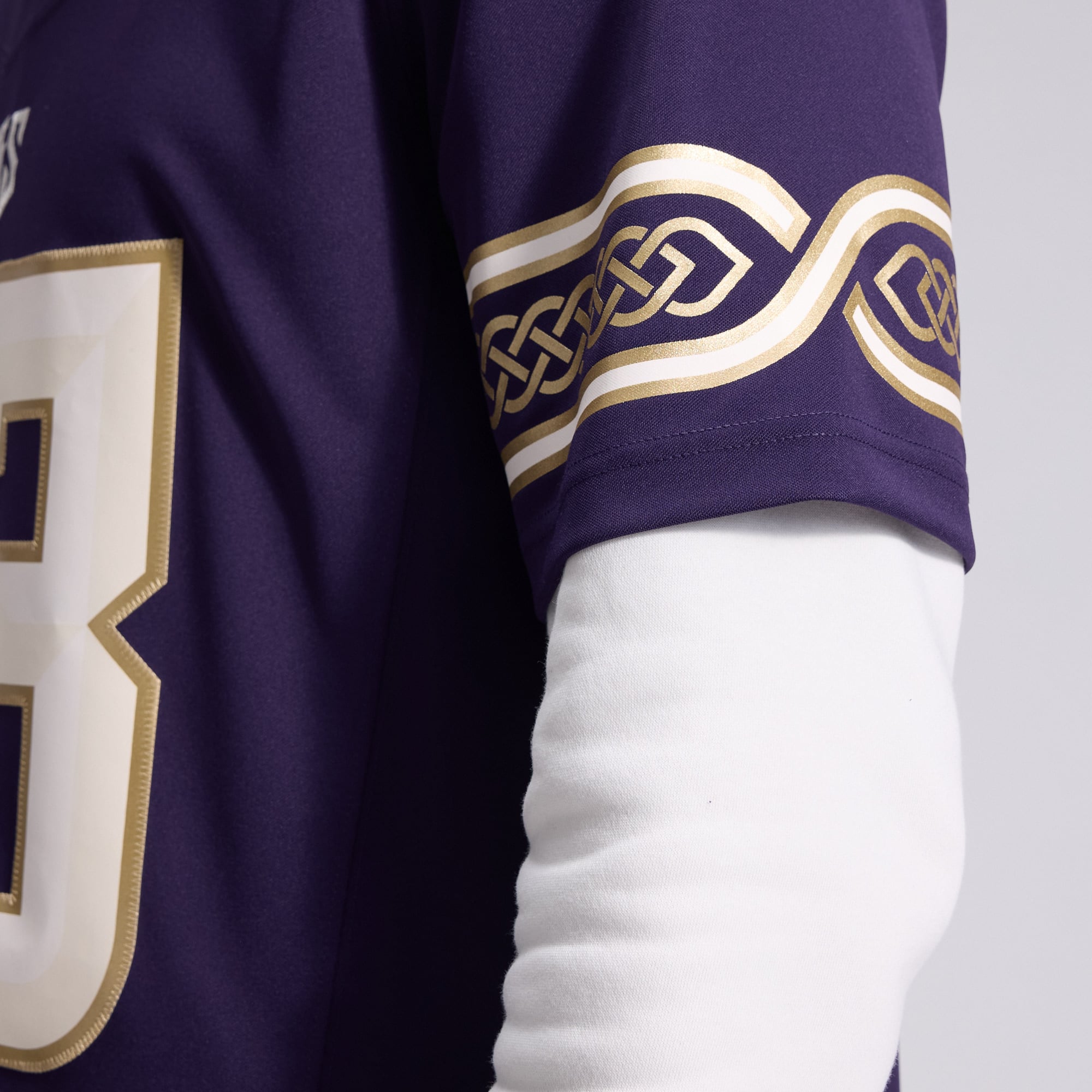 Men's Nike Andrew Van Ginkel Purple Minnesota Vikings 2026 Rivalries Collection Stitched Limited Jersey