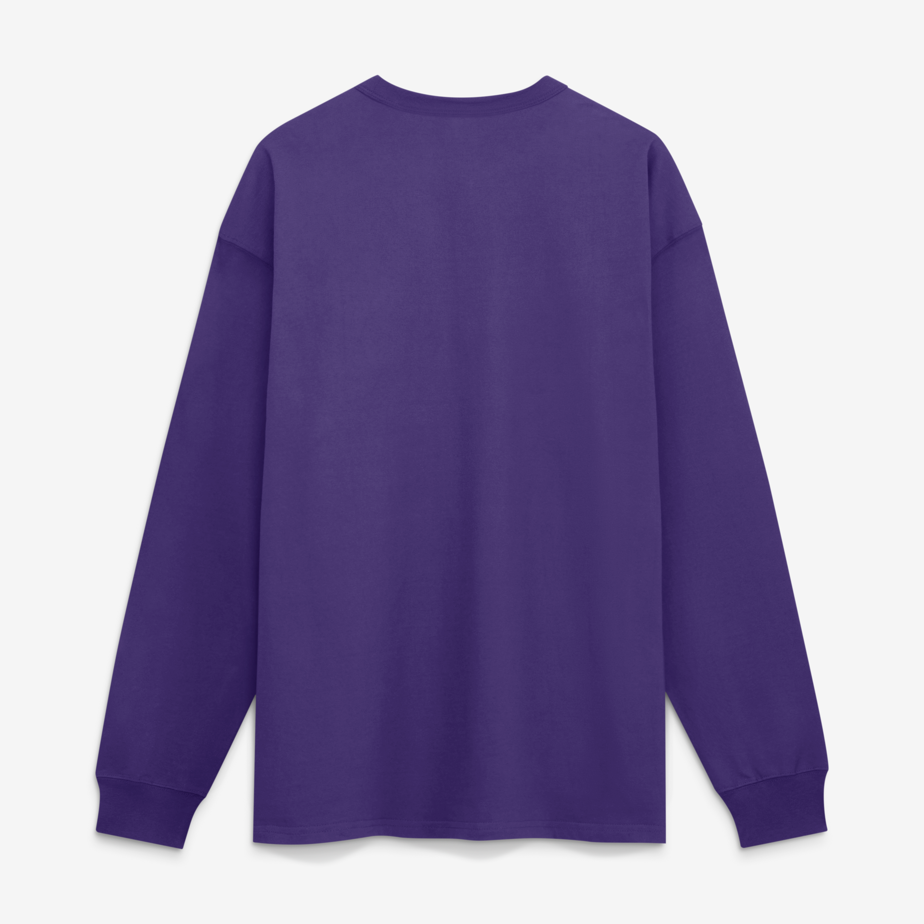 Men's Nike Purple Minnesota Vikings Red Zone Long Sleeve Max90 T-Shirt