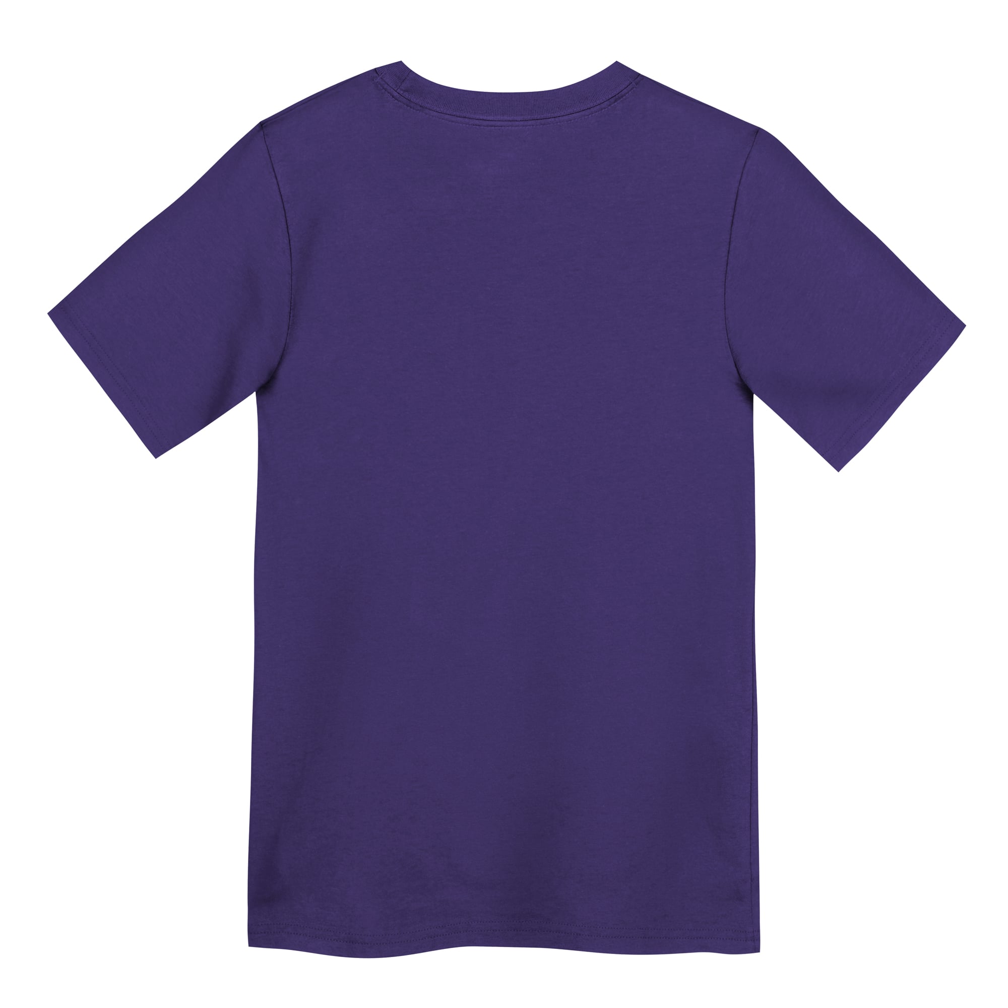 T-shirt Nike violet Minnesota Vikings Legend Icon pour enfants d'âge préscolaire