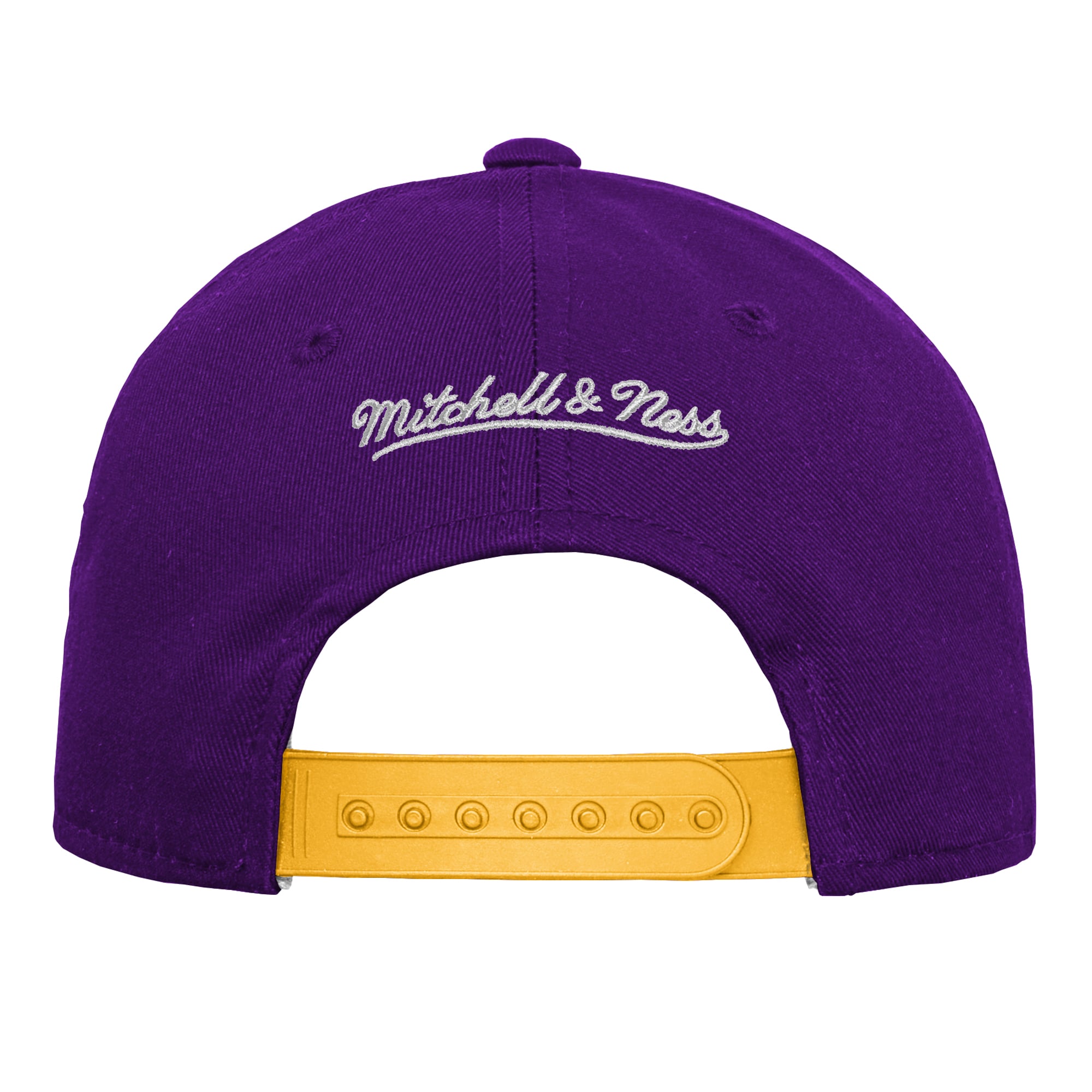 Youth Mitchell & Ness Purple Minnesota Vikings Big Head Pro Crown Snapback Hat