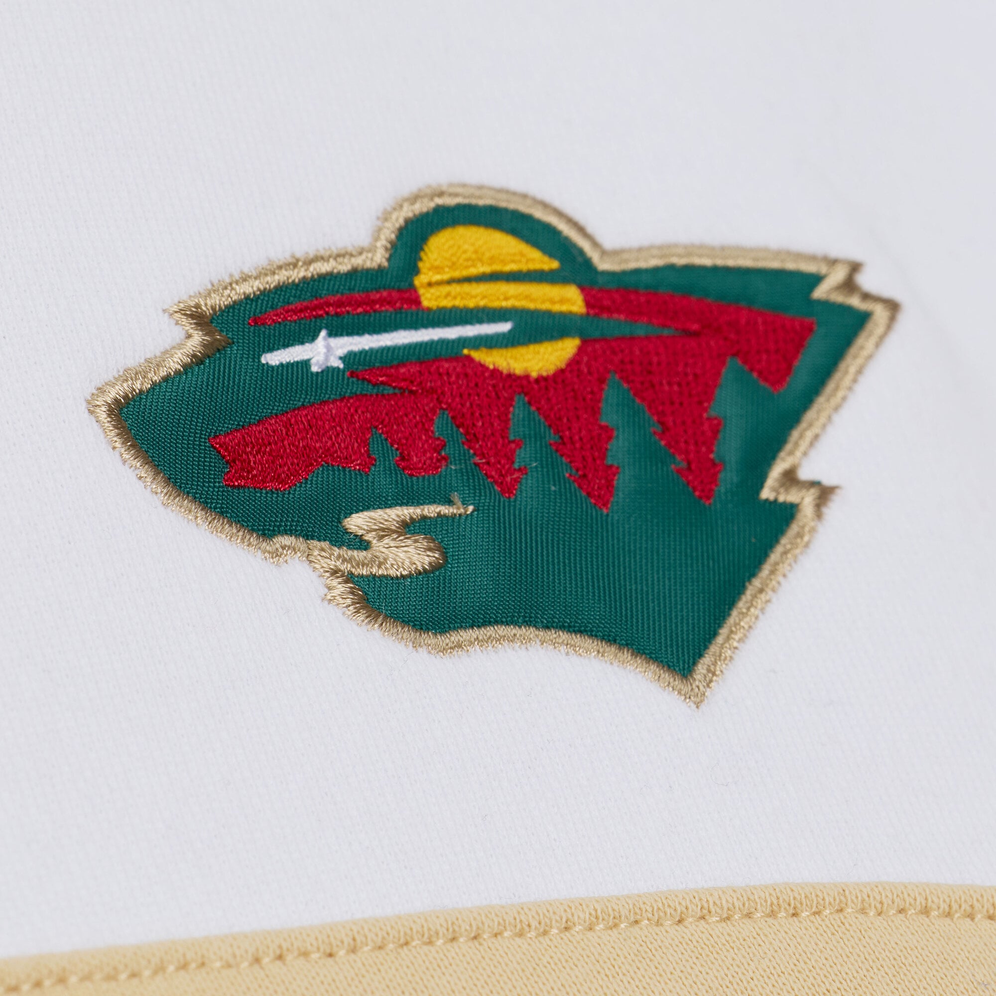 Sweat à capuche Mitchell & Ness vert foncé pour homme, modèle Minnesota Wild, entraîneur-chef
