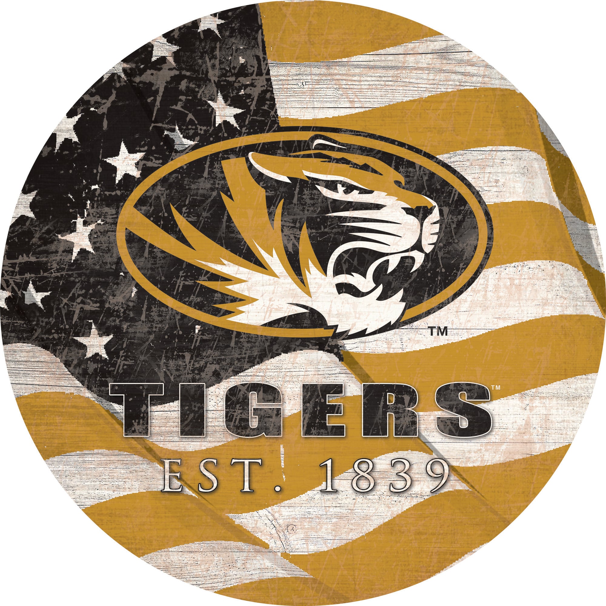 Mizzou Cold Color Code Mizzou Tigers Logo