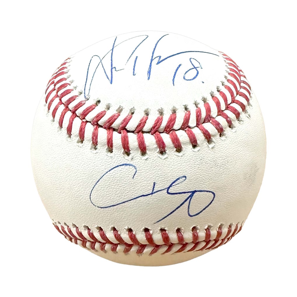 2025 Under Wraps Autographed MLB Baseballs Vol. I Single Mystery Box