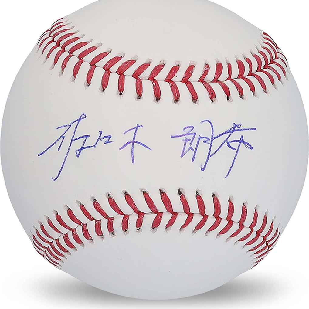 Fanatics Authentic 2025 Under Wraps Baseballs Volume II
