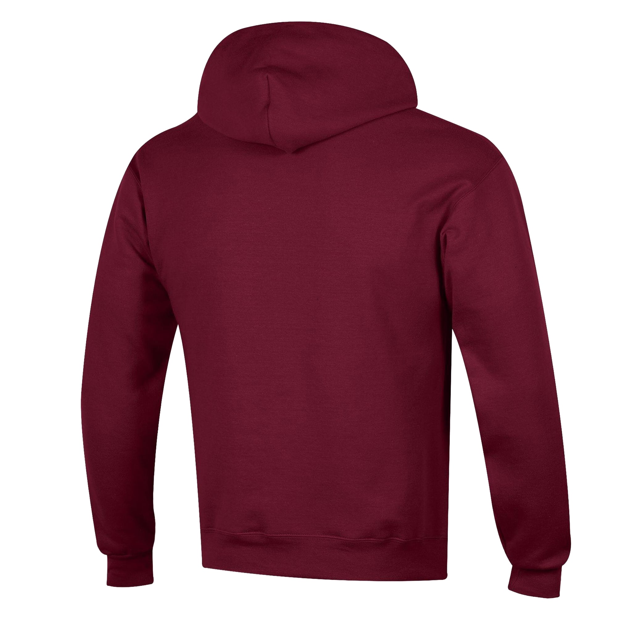 Sweat à capuche Champion marron Montana Grizzlies Powerblend pour homme
