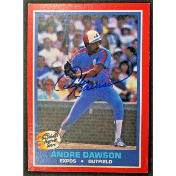 Lot Detail - 1989 Andre Dawson Game Used and Signed Chicago Cubs Home Jersey (Pa