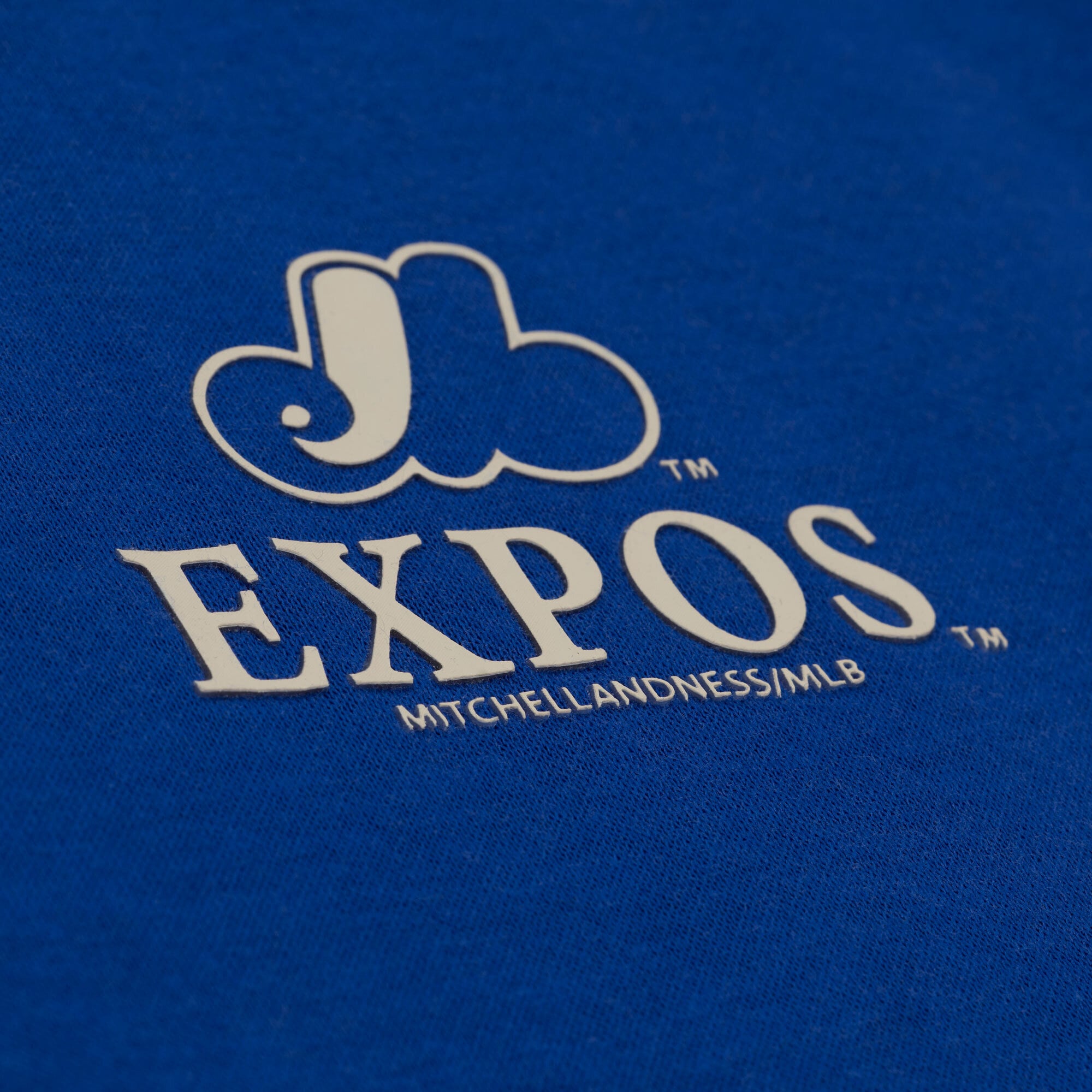 Women's Mitchell & Ness Royal Montreal Expos Core Essentials Micro Logo Fleece Sweatshirt