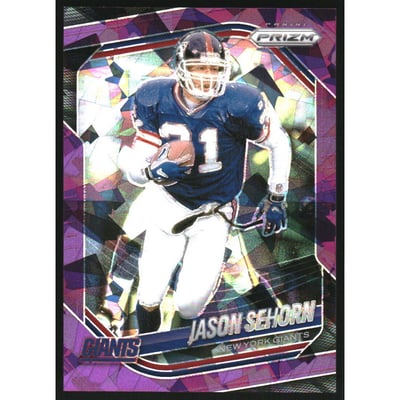 2025 Panini Prizm Prizms Purple Ice #29 Jason Sehorn