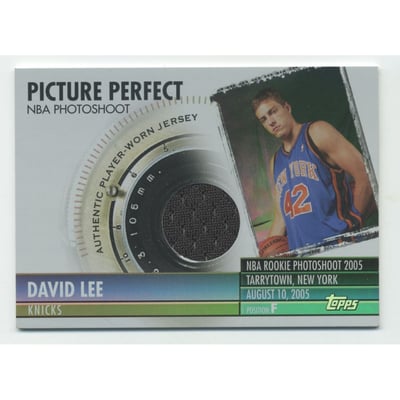 2005-06 Topps Big Game Picture Perfect Relics #DL David Lee JSY