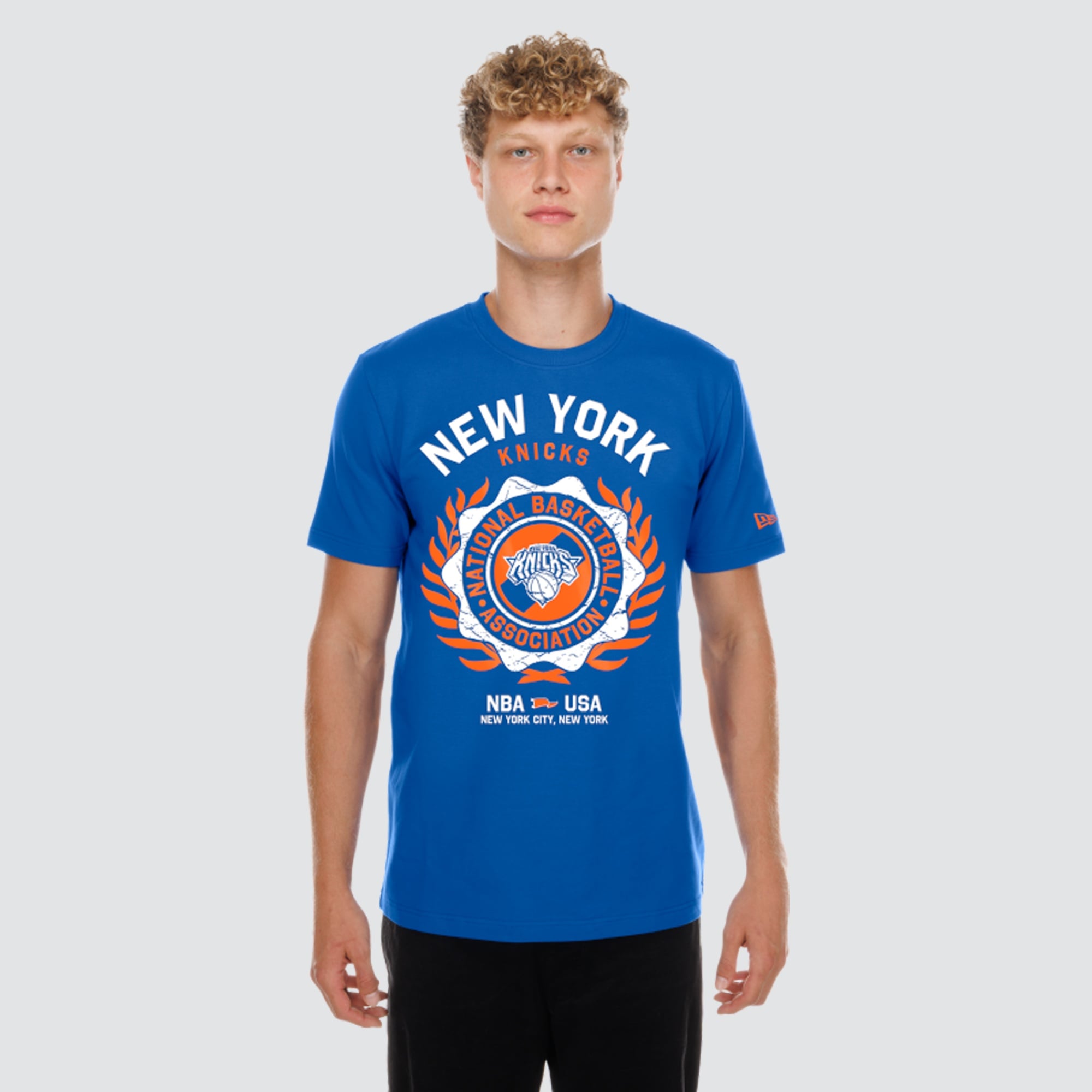 Men's New Era  Blue York Knicks Laurel Crest Flocking T-Shirt