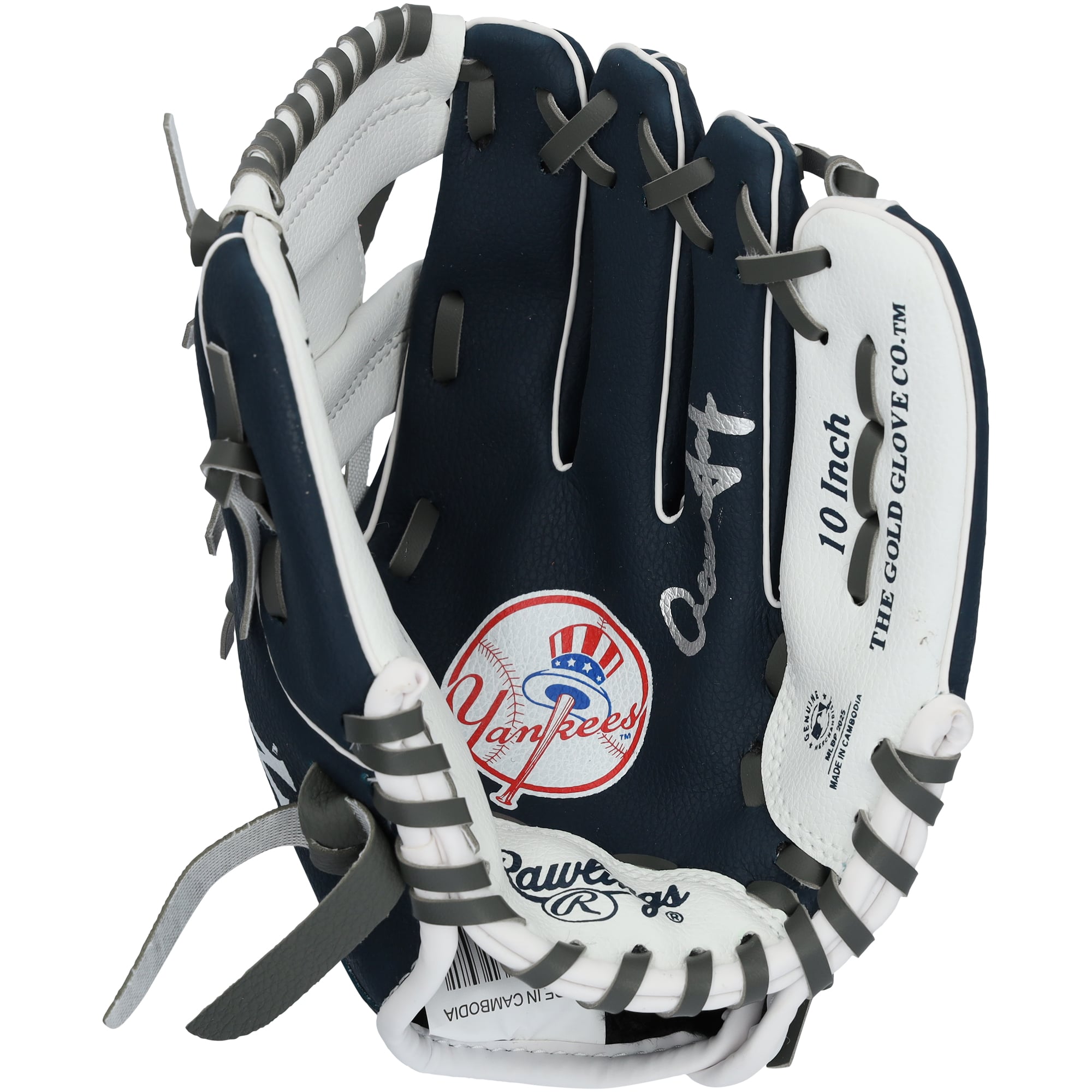 Aaron Judge New York Yankees Autographed Rawlings 10" Collectible Team Logo Glove