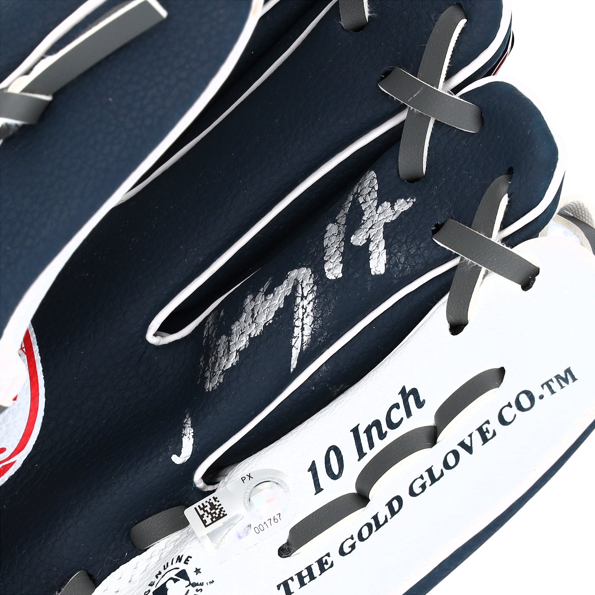 Anthony Volpe New York Yankees Autographed Rawlings 10" Collectible Team Logo Glove