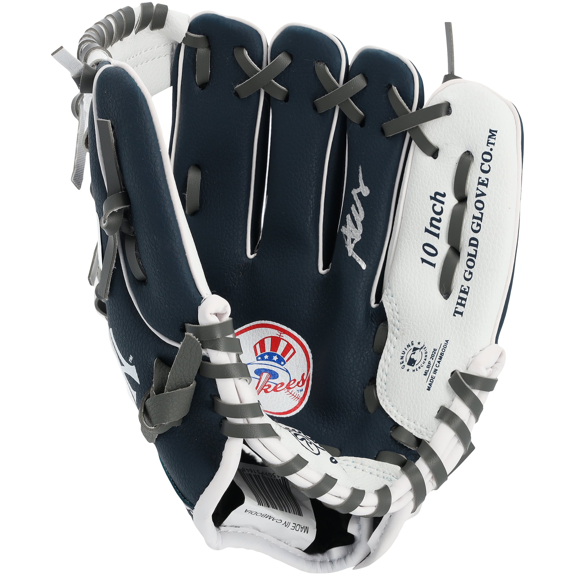 Gant de collection Rawlings 10" autographié par Austin Wells, des Yankees de New York, avec logo de l'équipe
